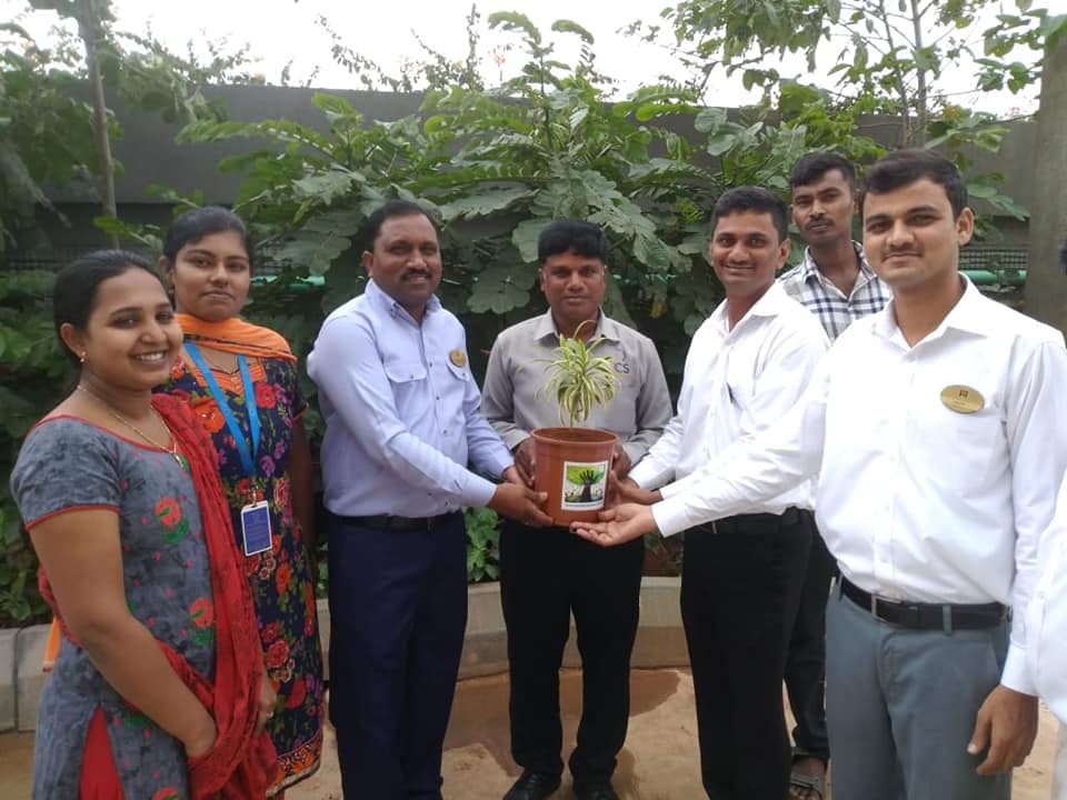 Tree Plantation Drive