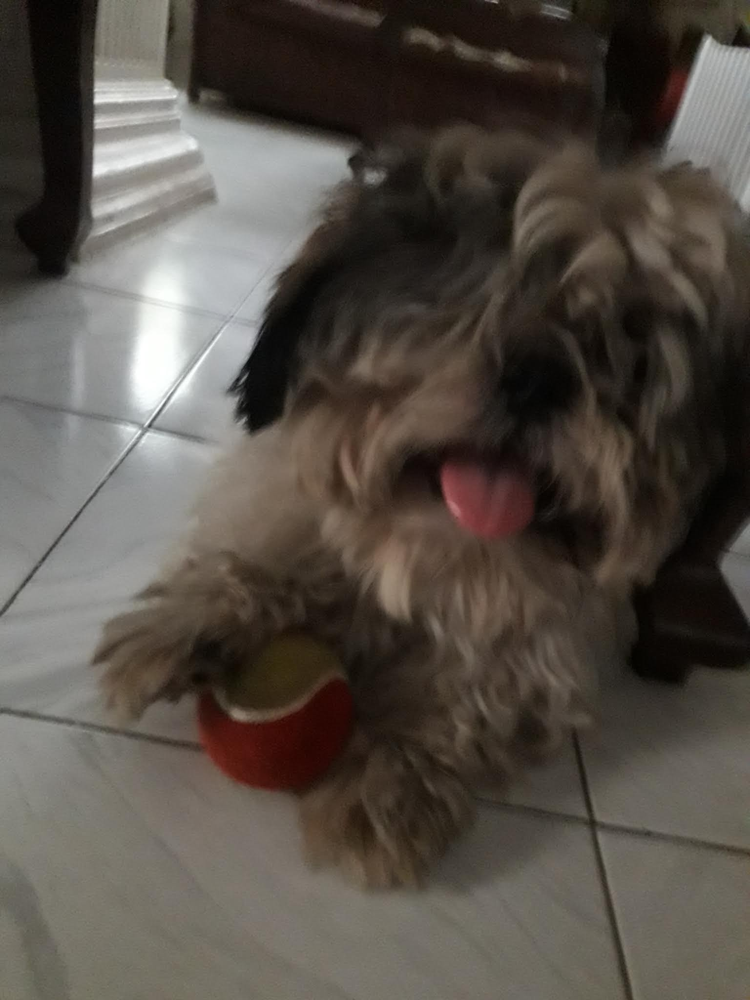 DRNF team members at community event - building relationships and serving with compassion