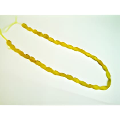 Citrine Carved Bead Strand 16 Inch