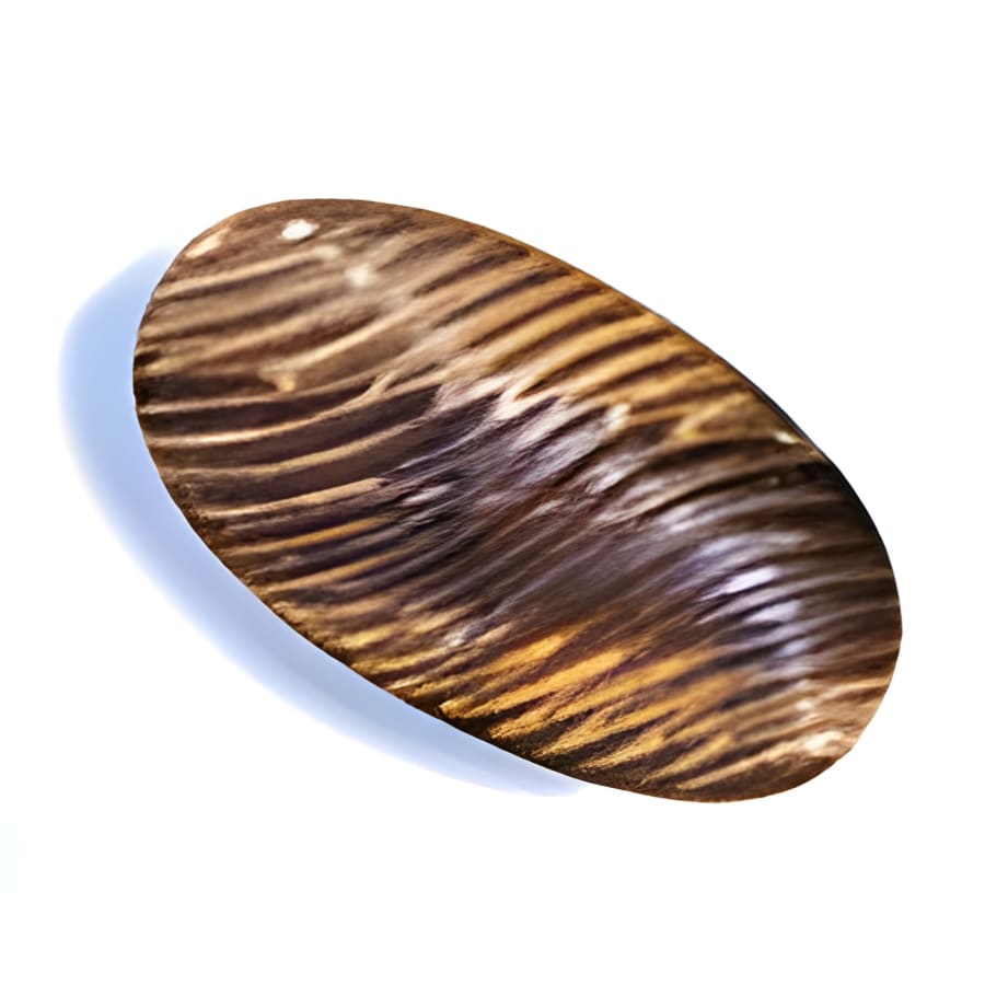 45 x 25 x 8 mm Carved Oval Brown Tiger Eye