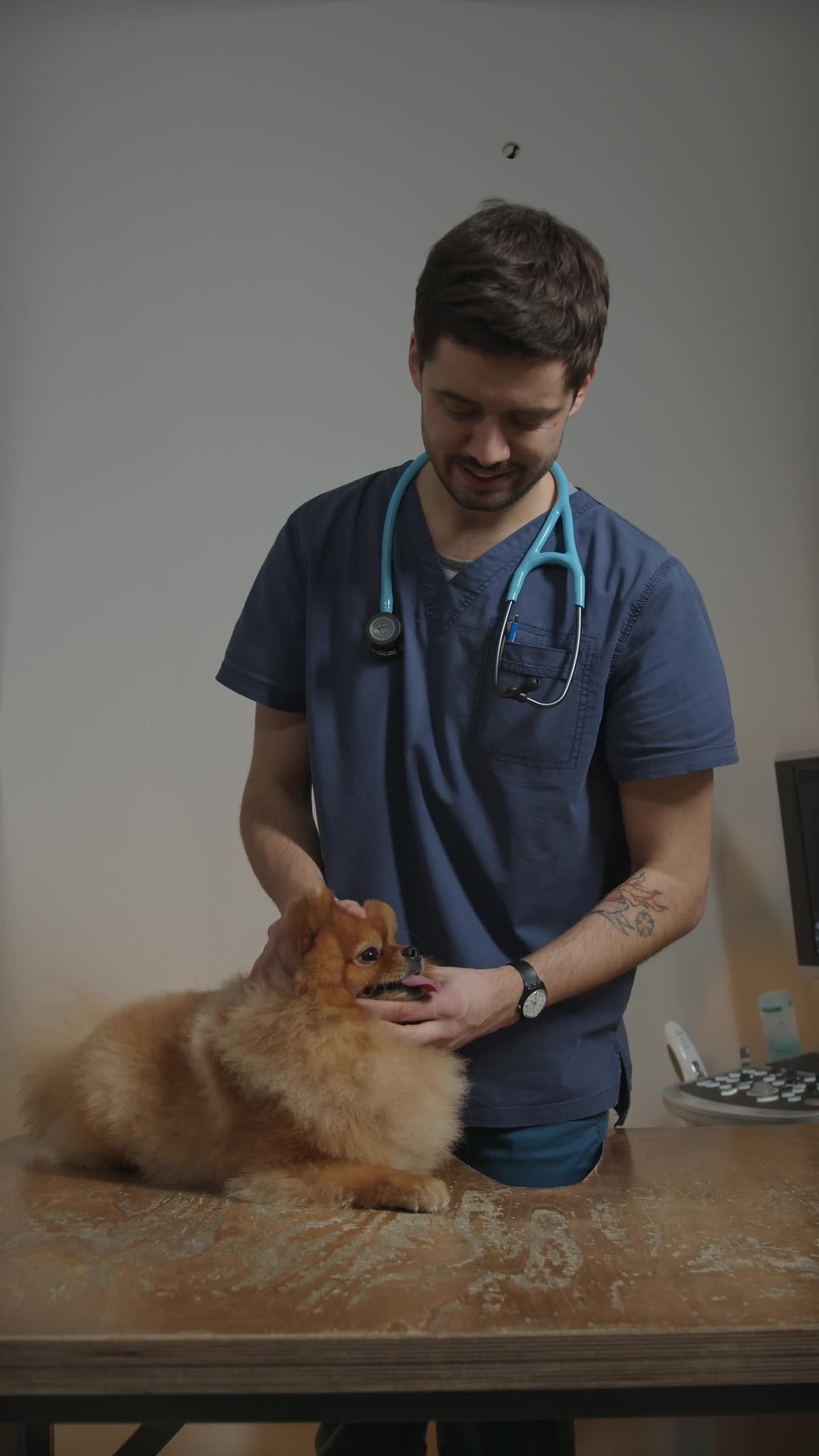 Veterinary & Pet Care