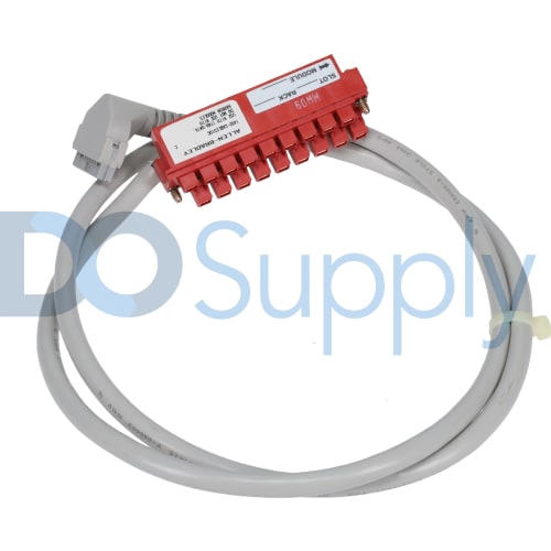 Allen Bradley 1492-CABLE010C