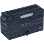 IC200ALG266