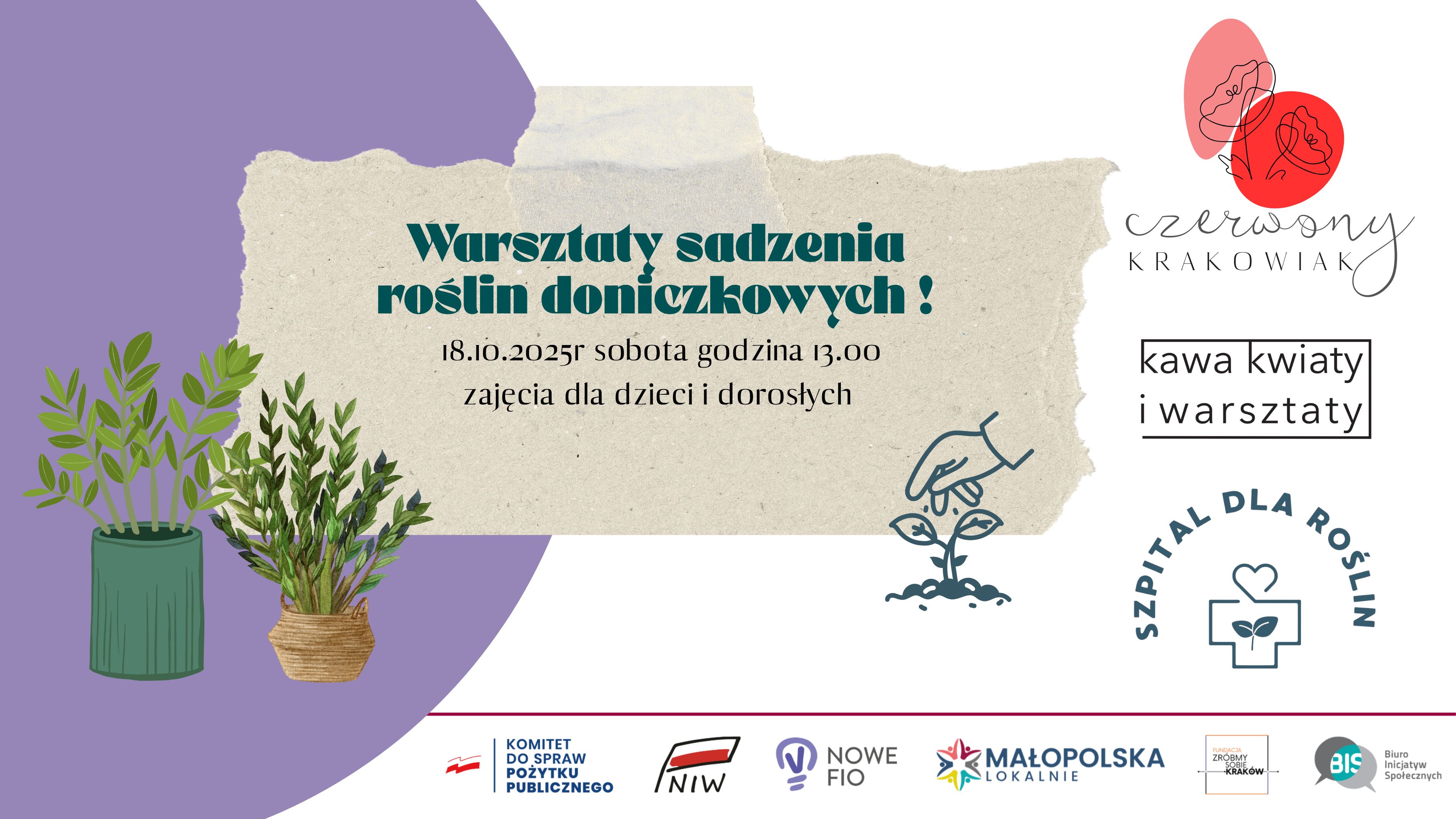 Warsztaty sadzenia roślin doniczkowych