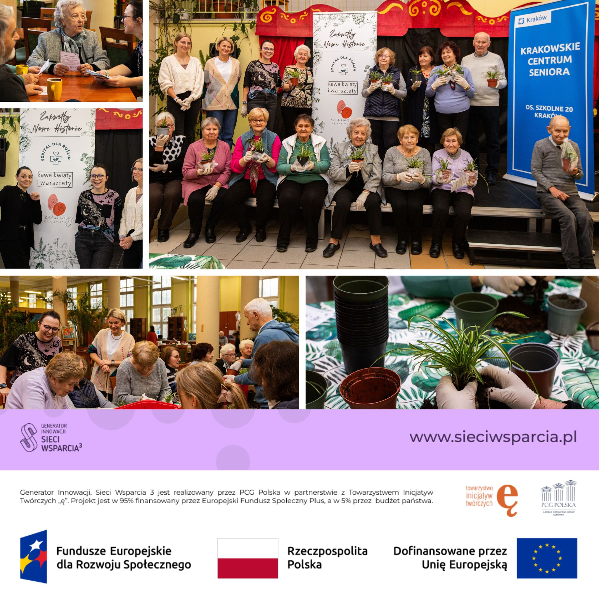 Spotkanie animacyjne i warsztaty sadzenia kwiatów w Krakowskim Centrum Seniora