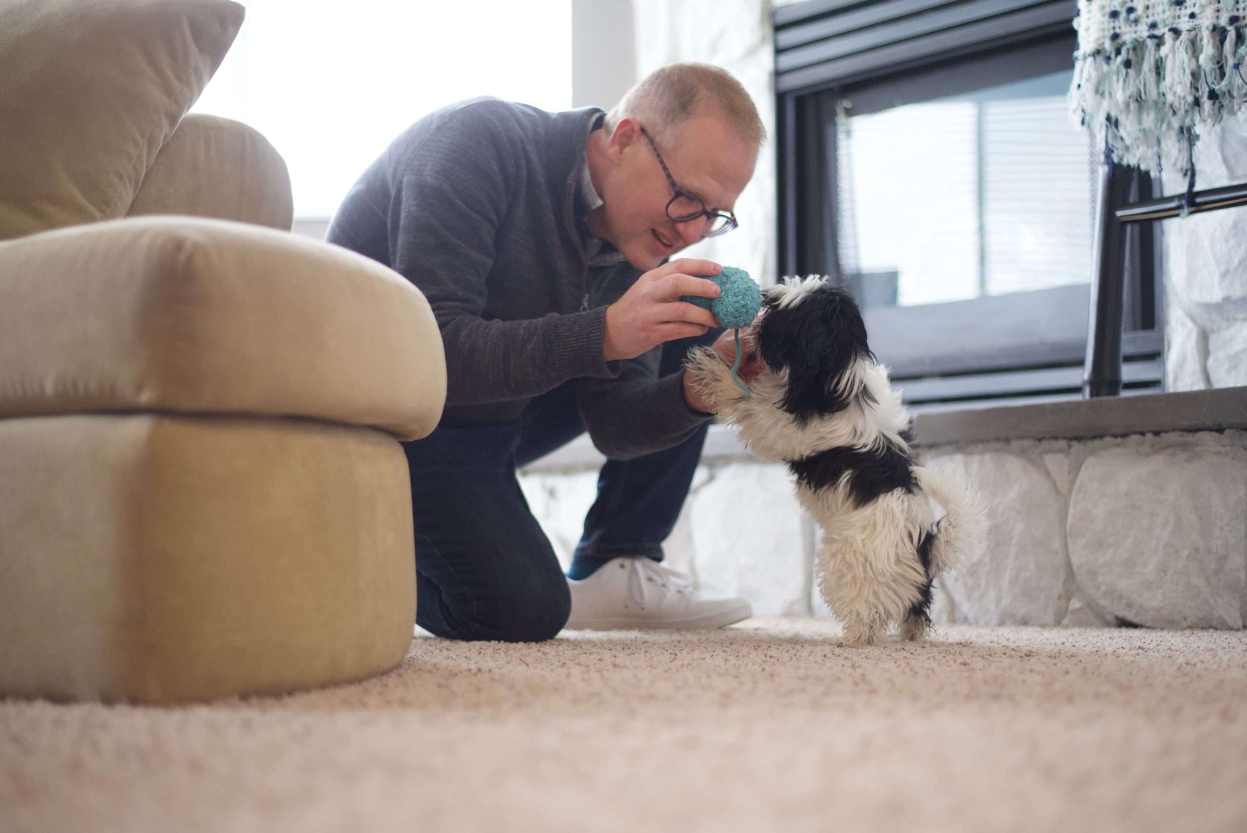 Professional pet sitter in Ogden Utah