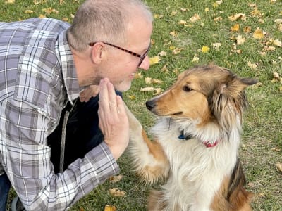 Dog owner and sheltie doing a high five during a dog walking visit in Ogden Utah