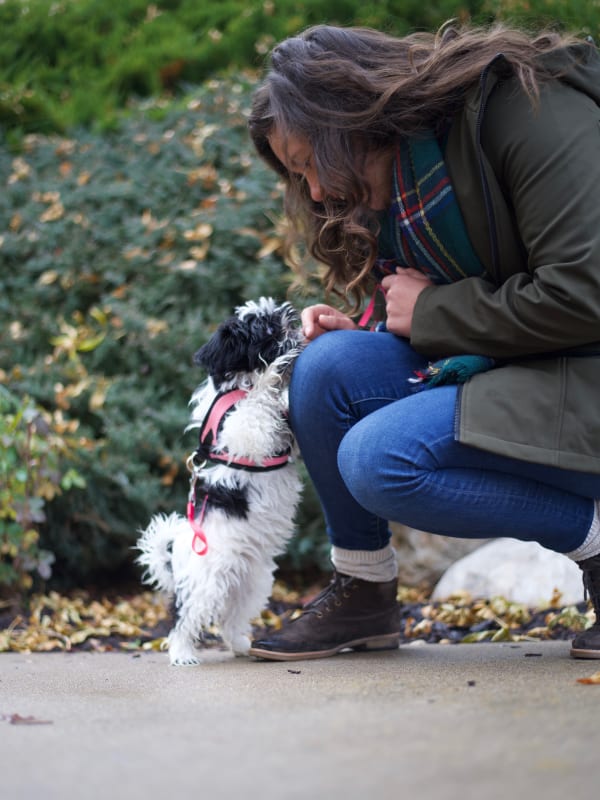 Away Home & Pet Care team member with a pet during a professional dog walking or pet sitting visit in Ogden, Utah