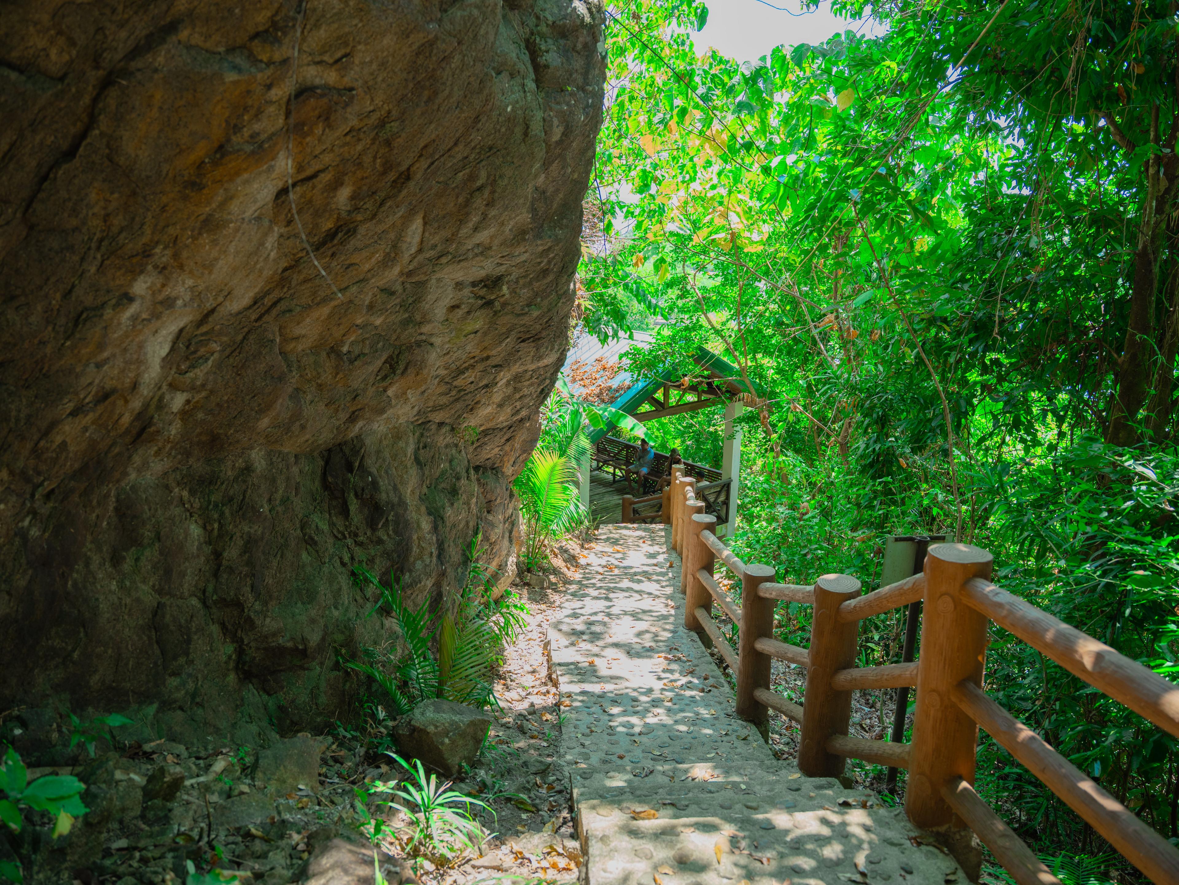Lalaguna Mangrove Ecopark photo 2