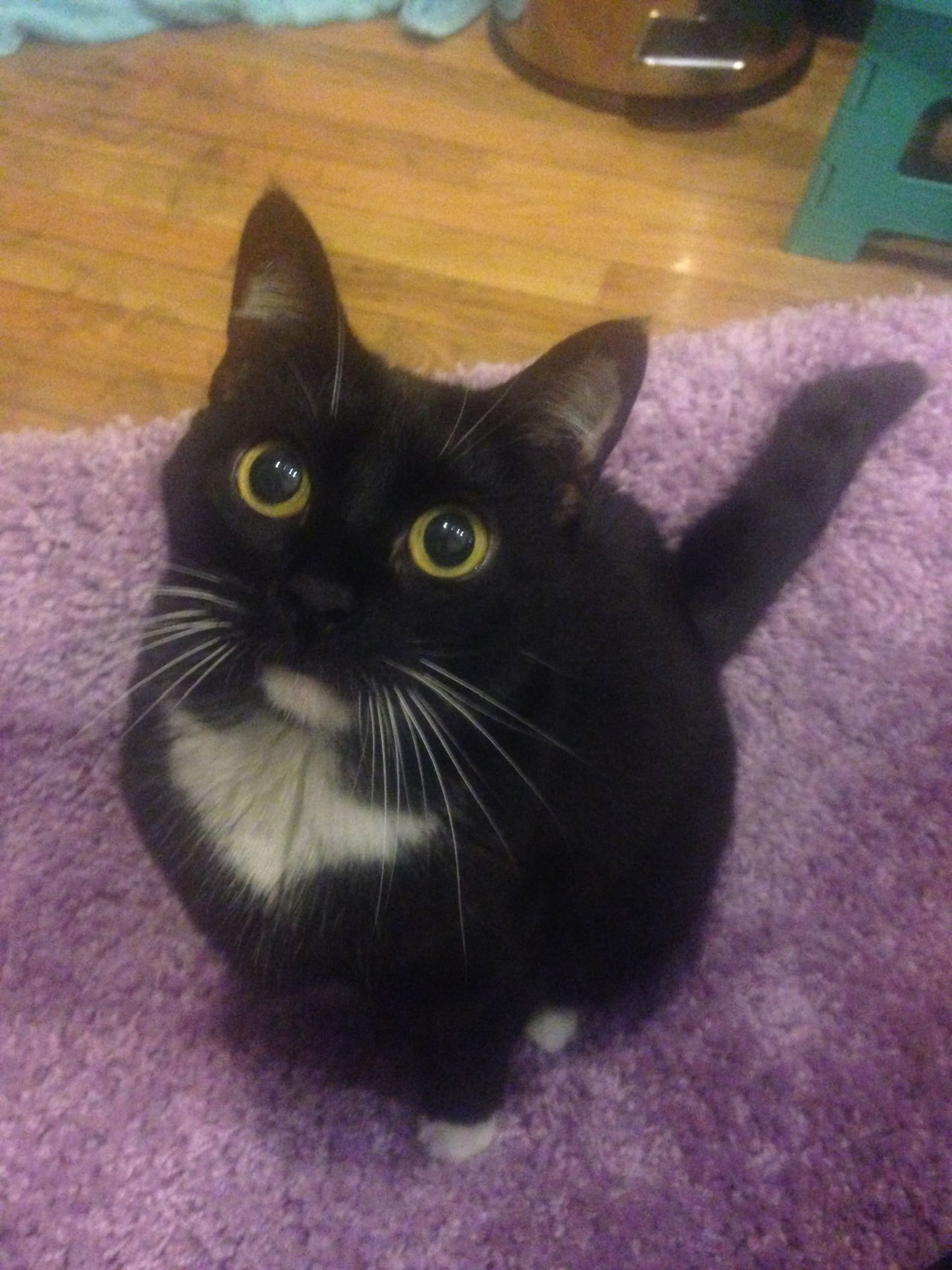 Nala