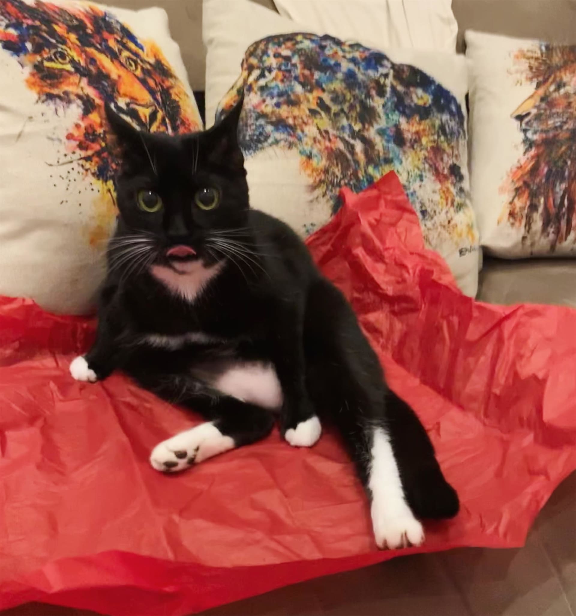 Nala