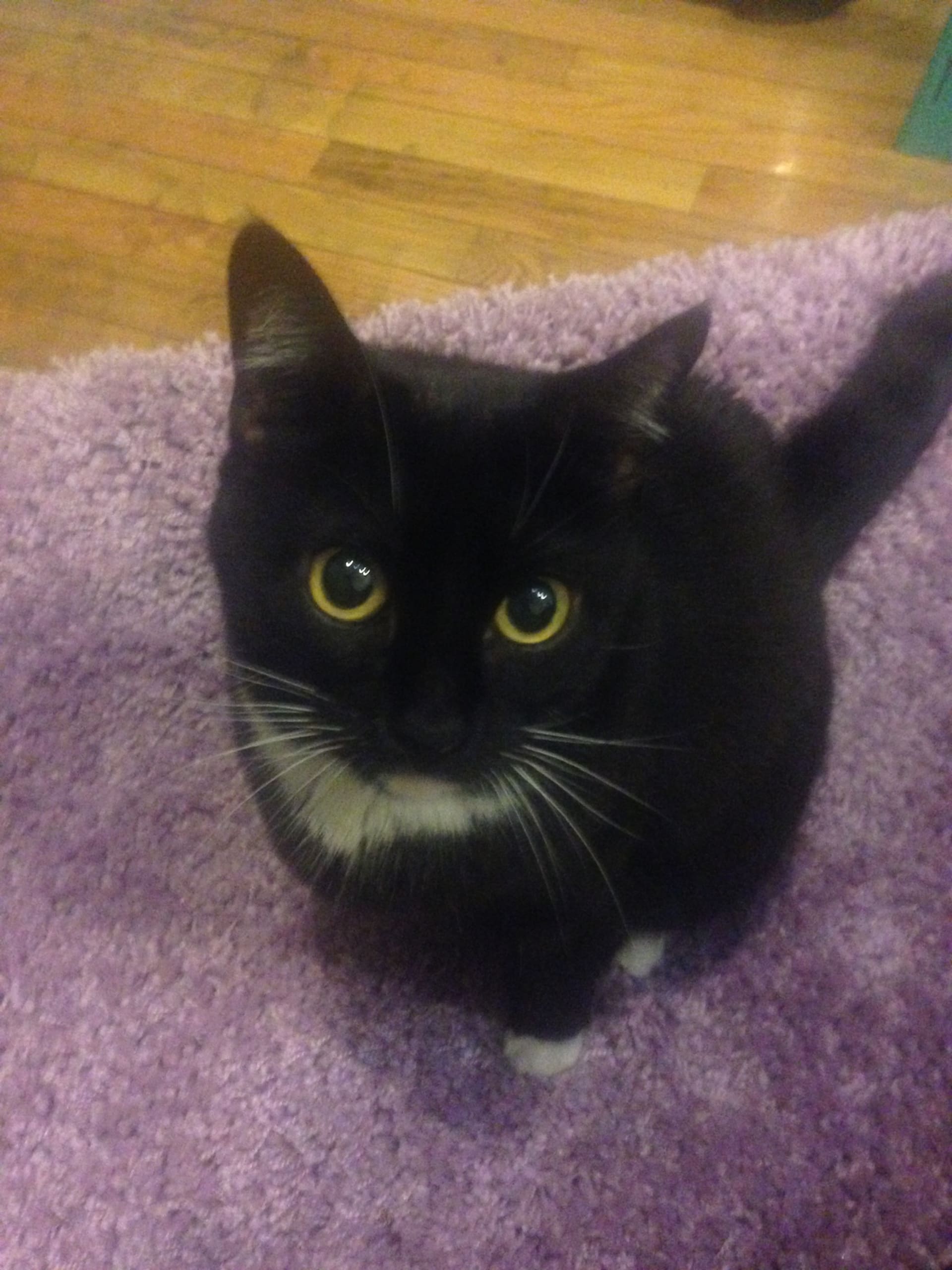 Nala