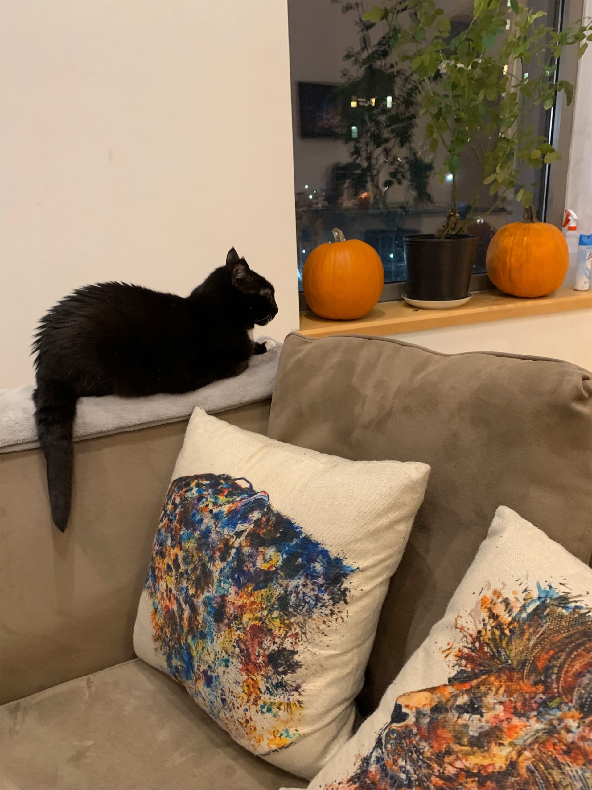 Nala