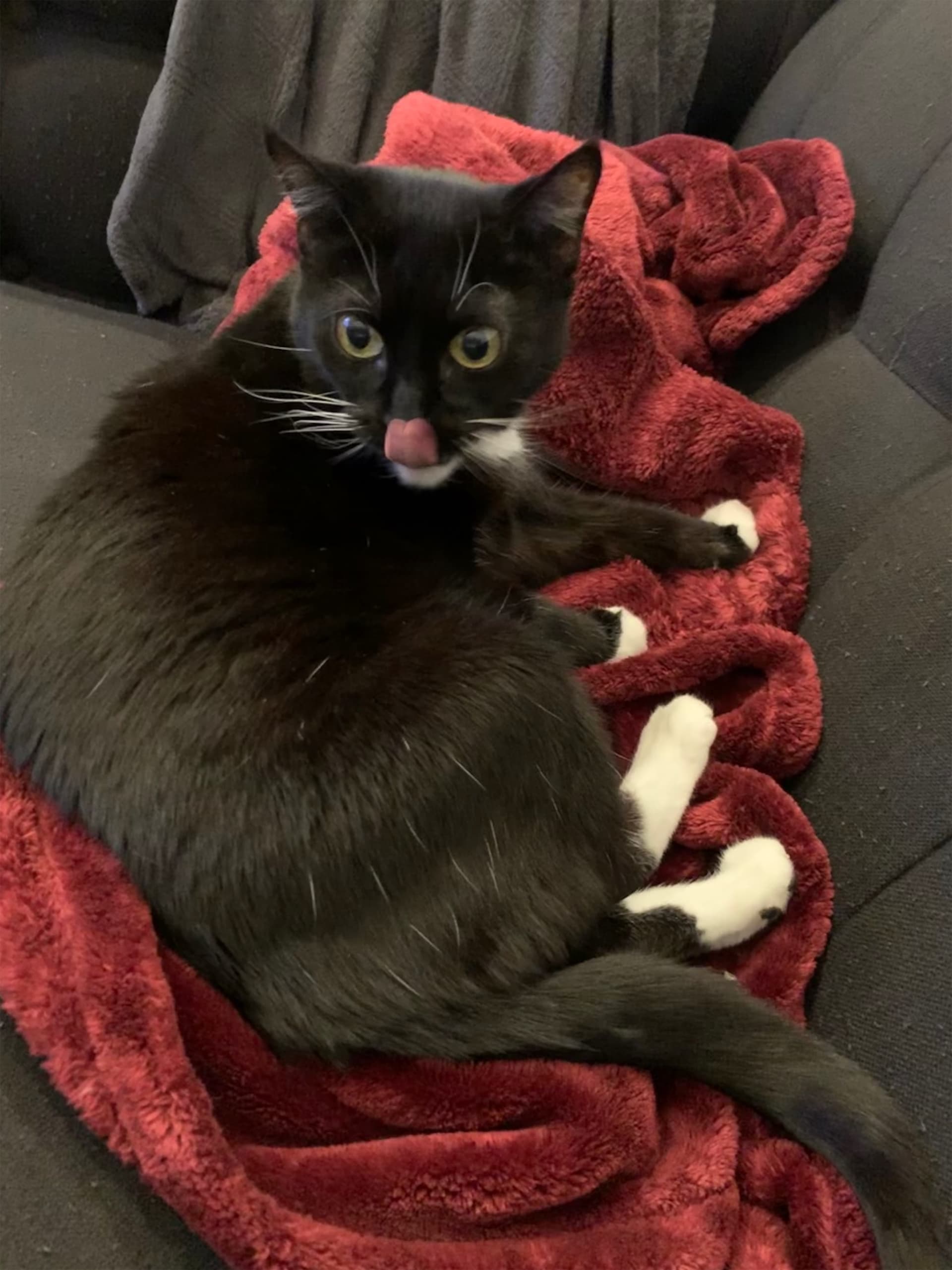 Nala