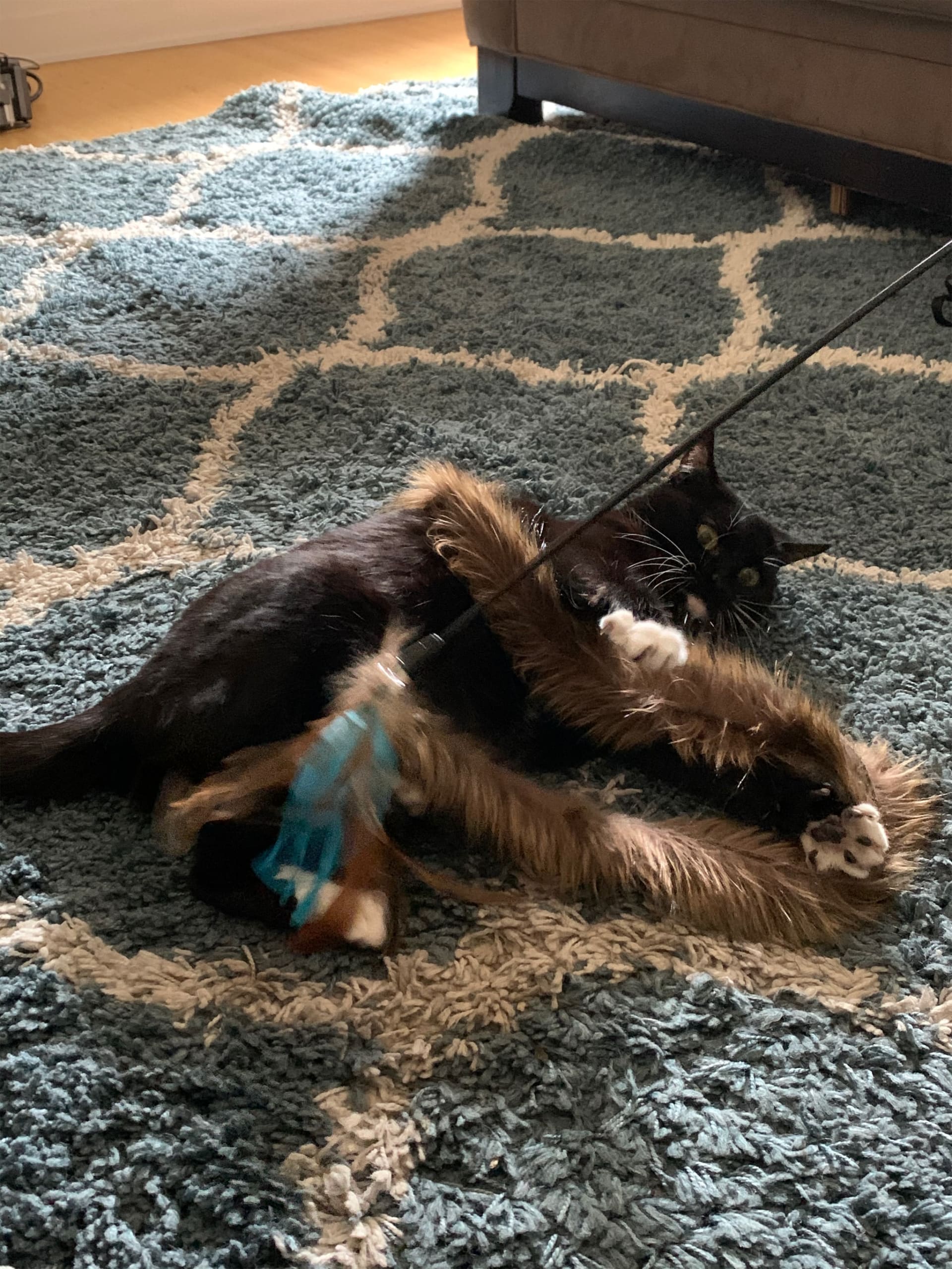 Nala