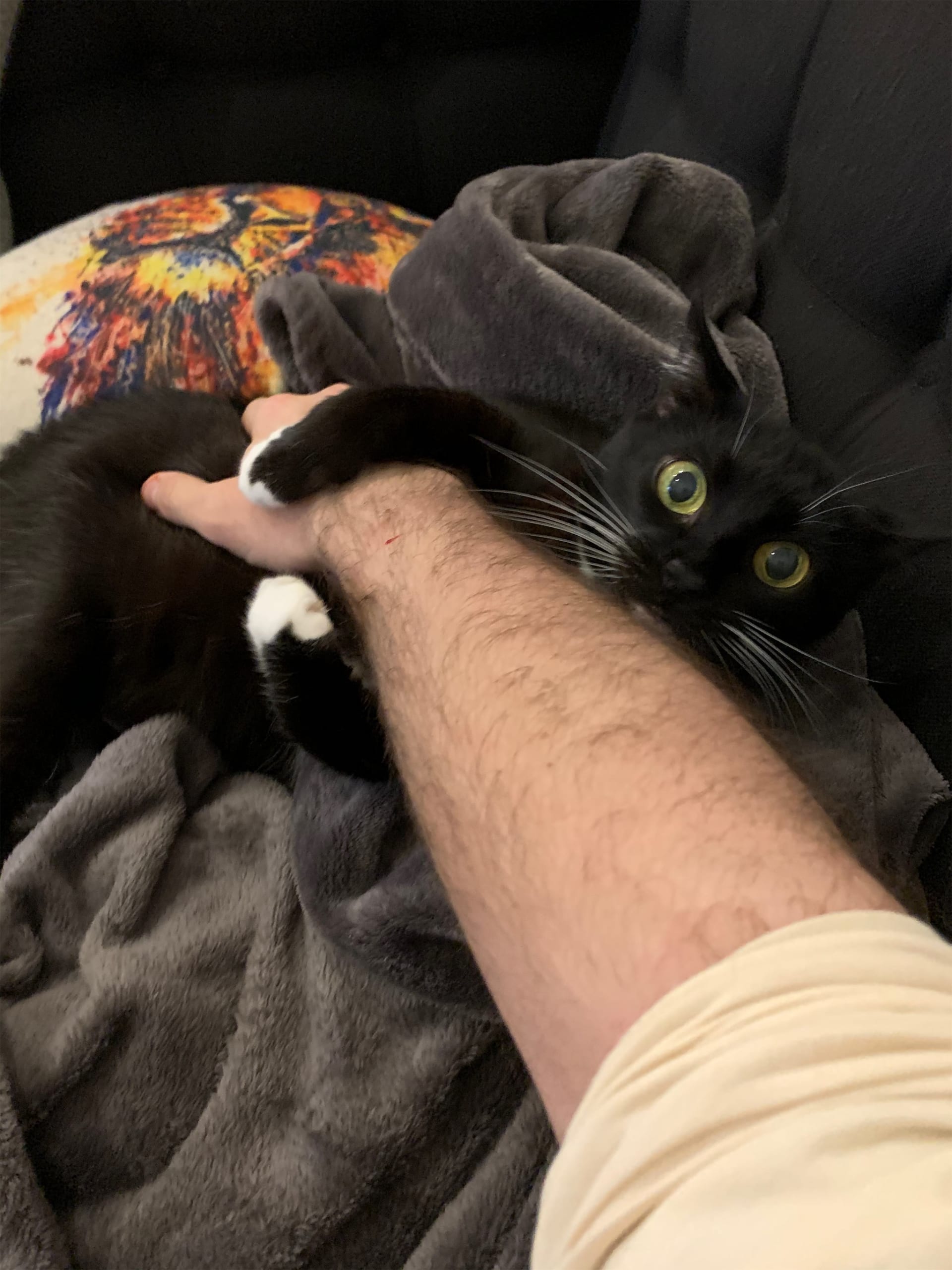 Nala