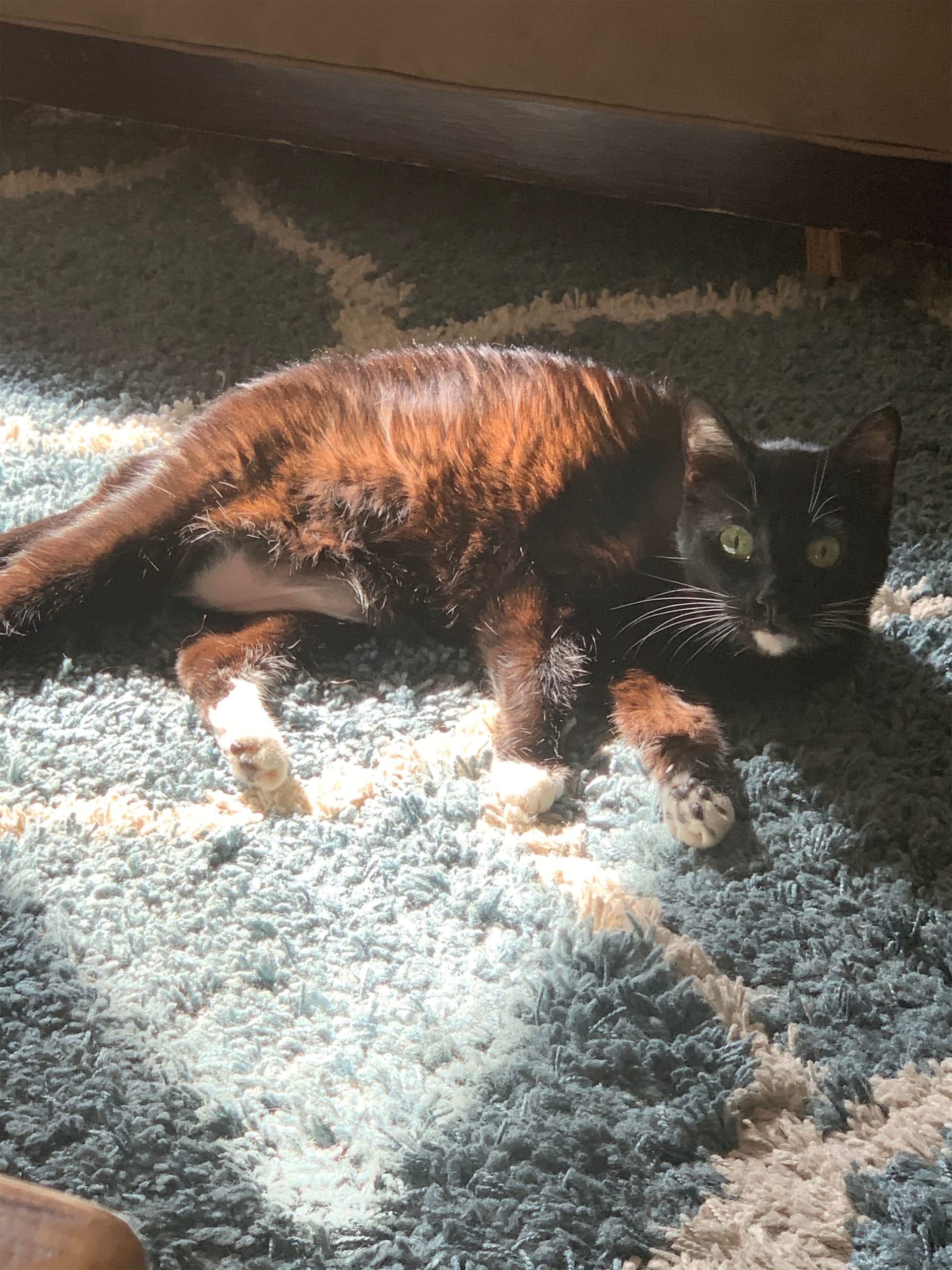Nala