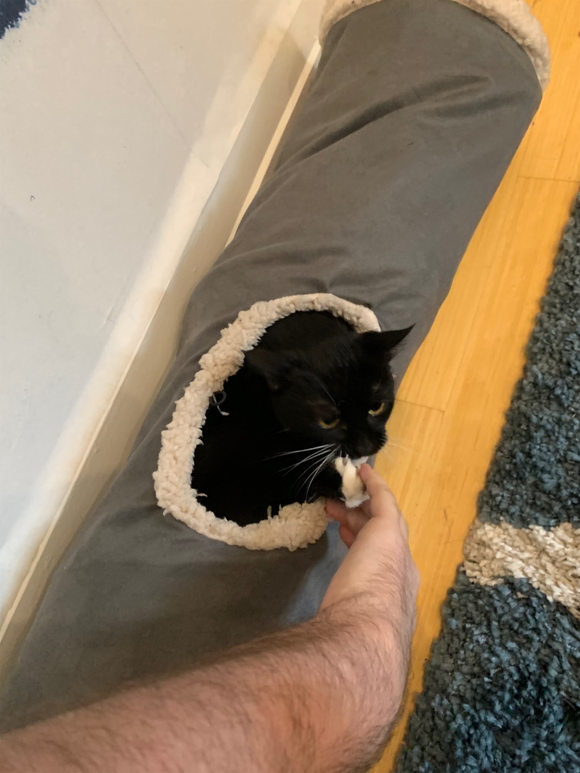 Nala