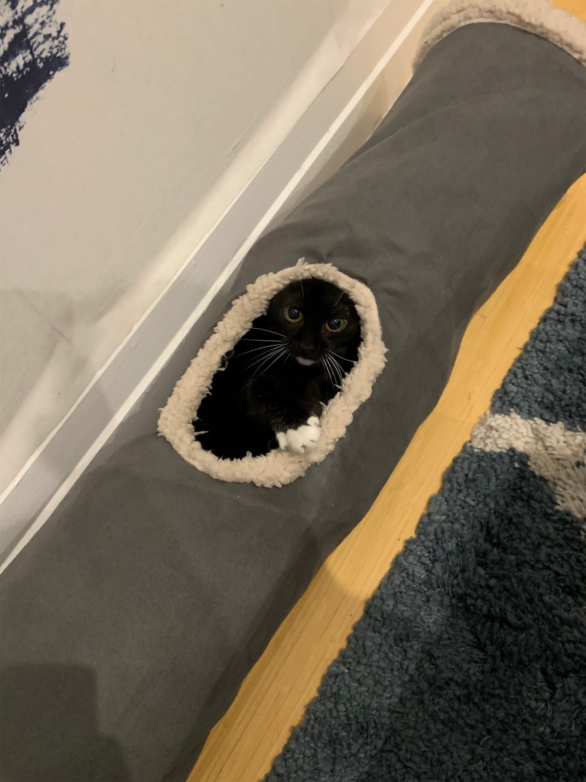 Nala