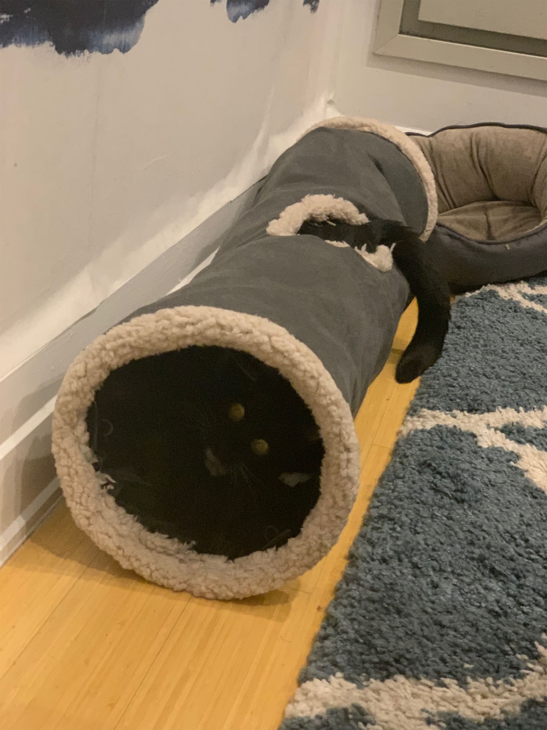 Nala