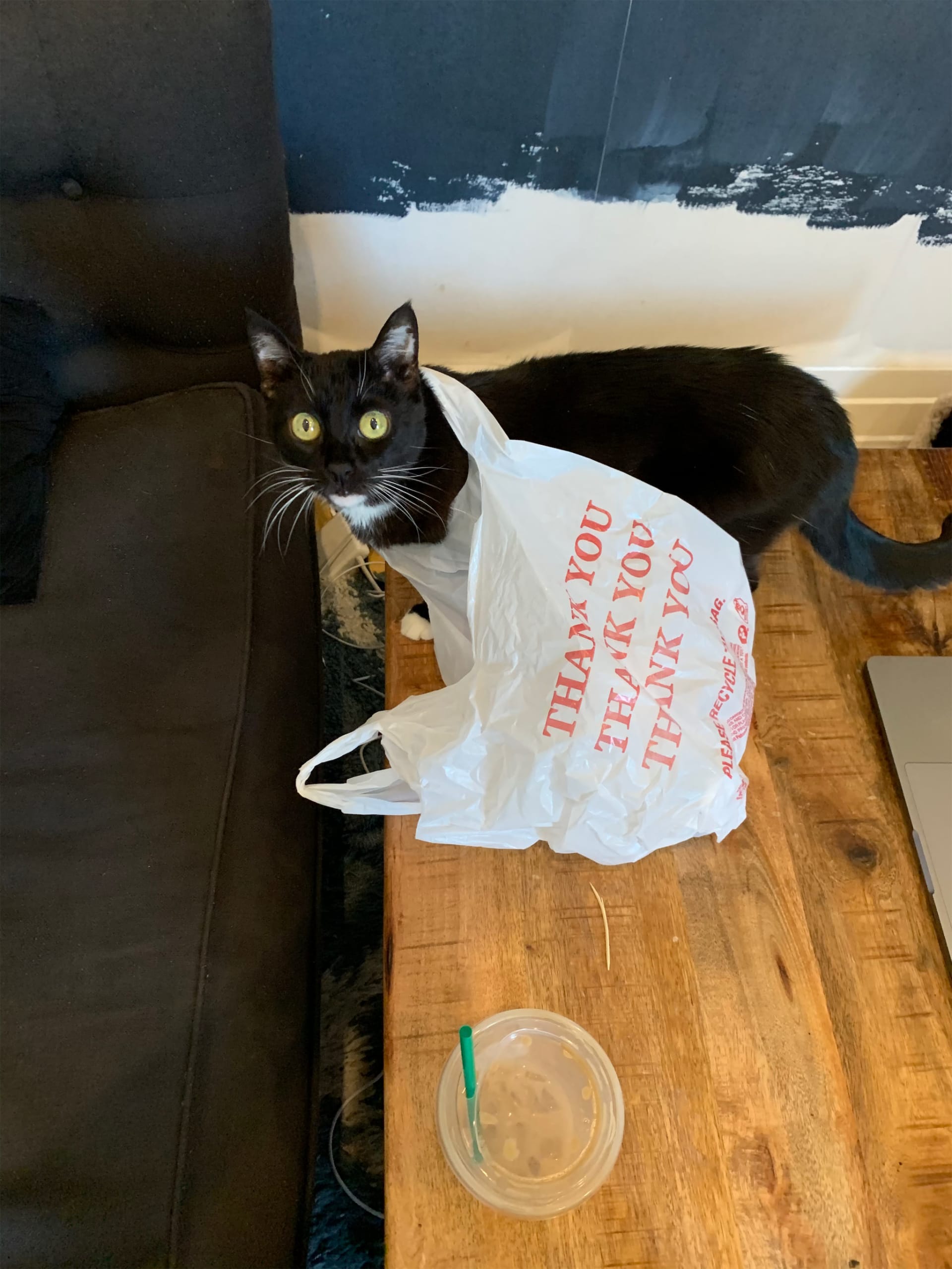 Nala