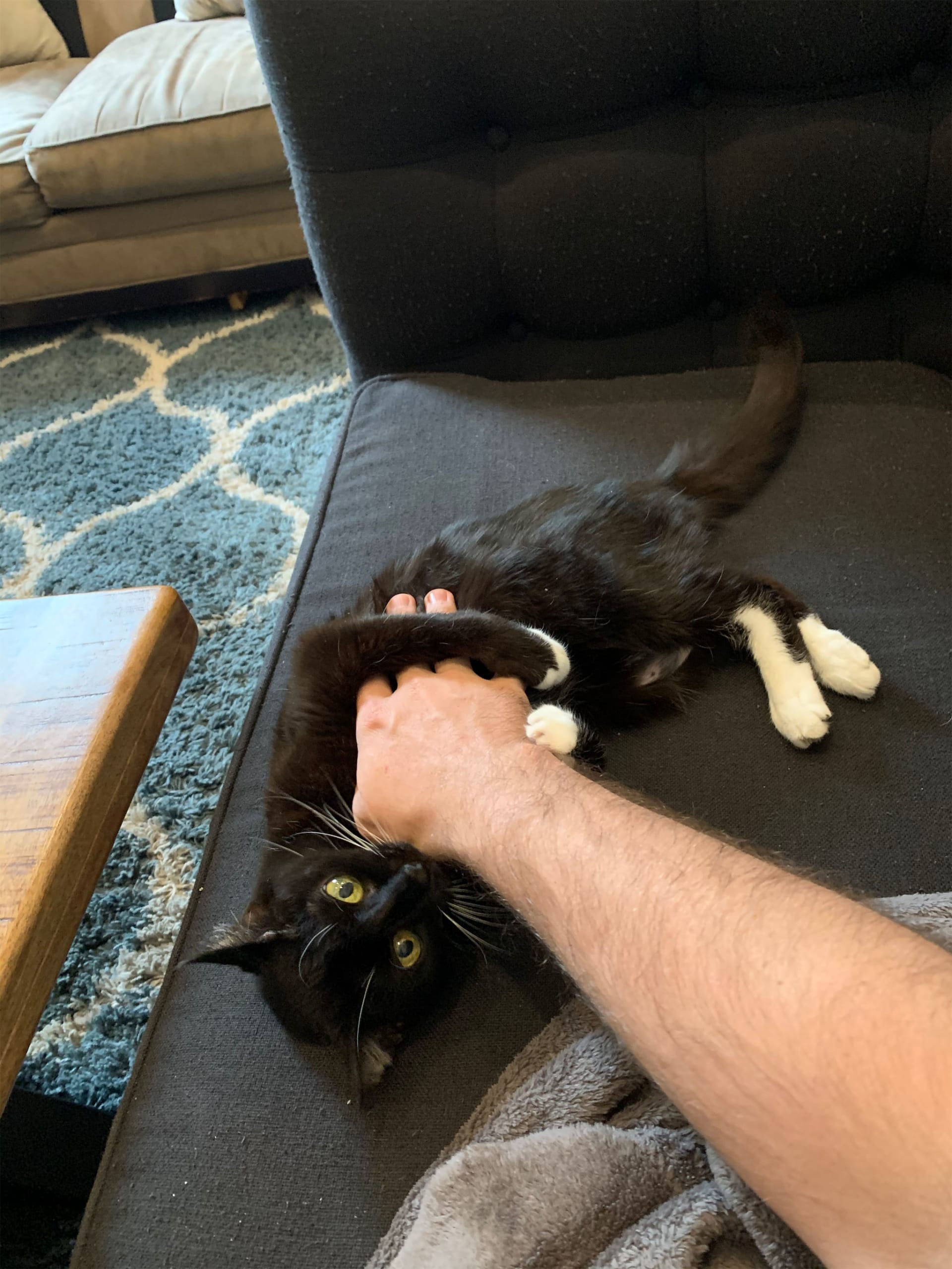 Nala