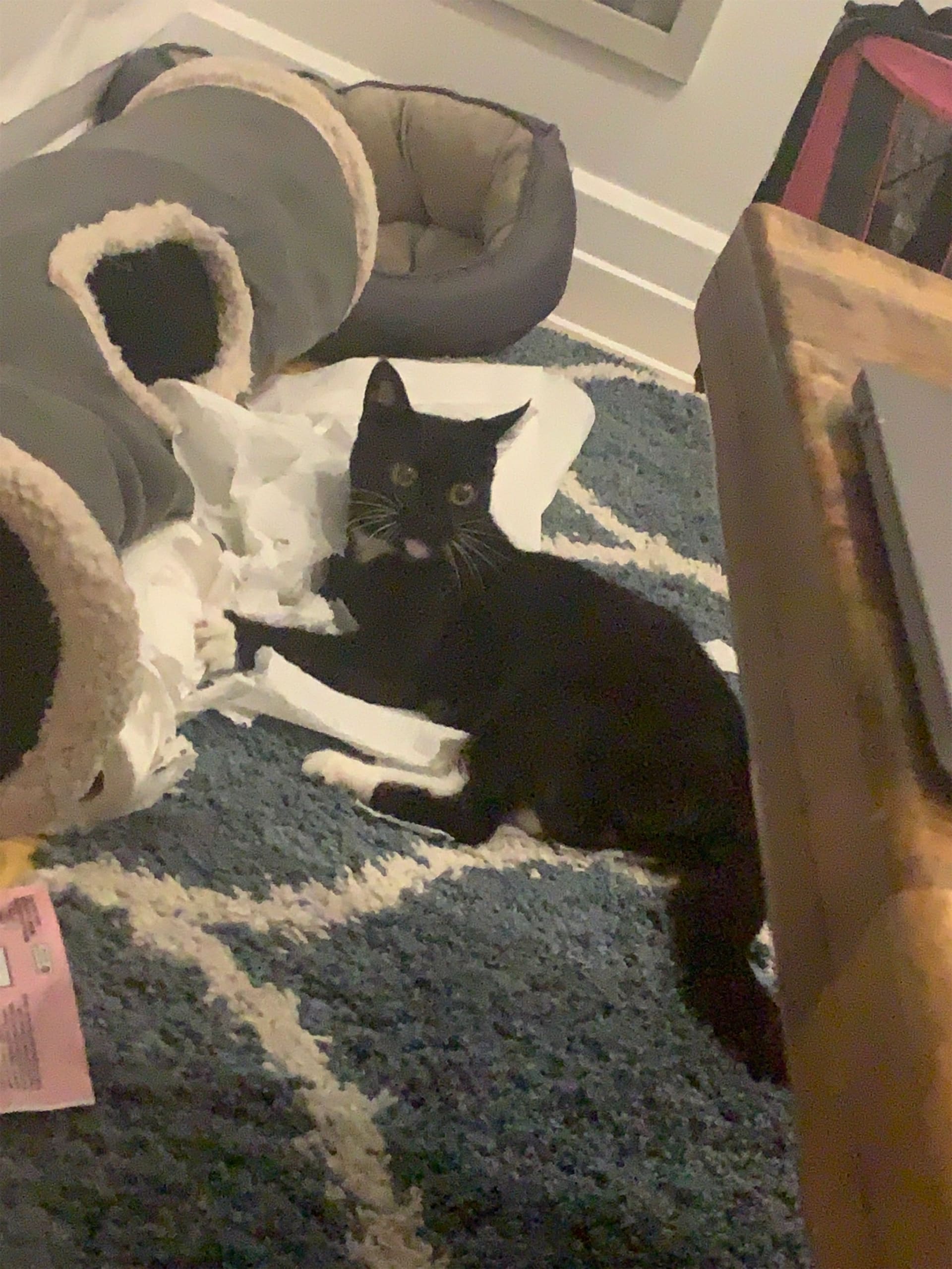 Nala