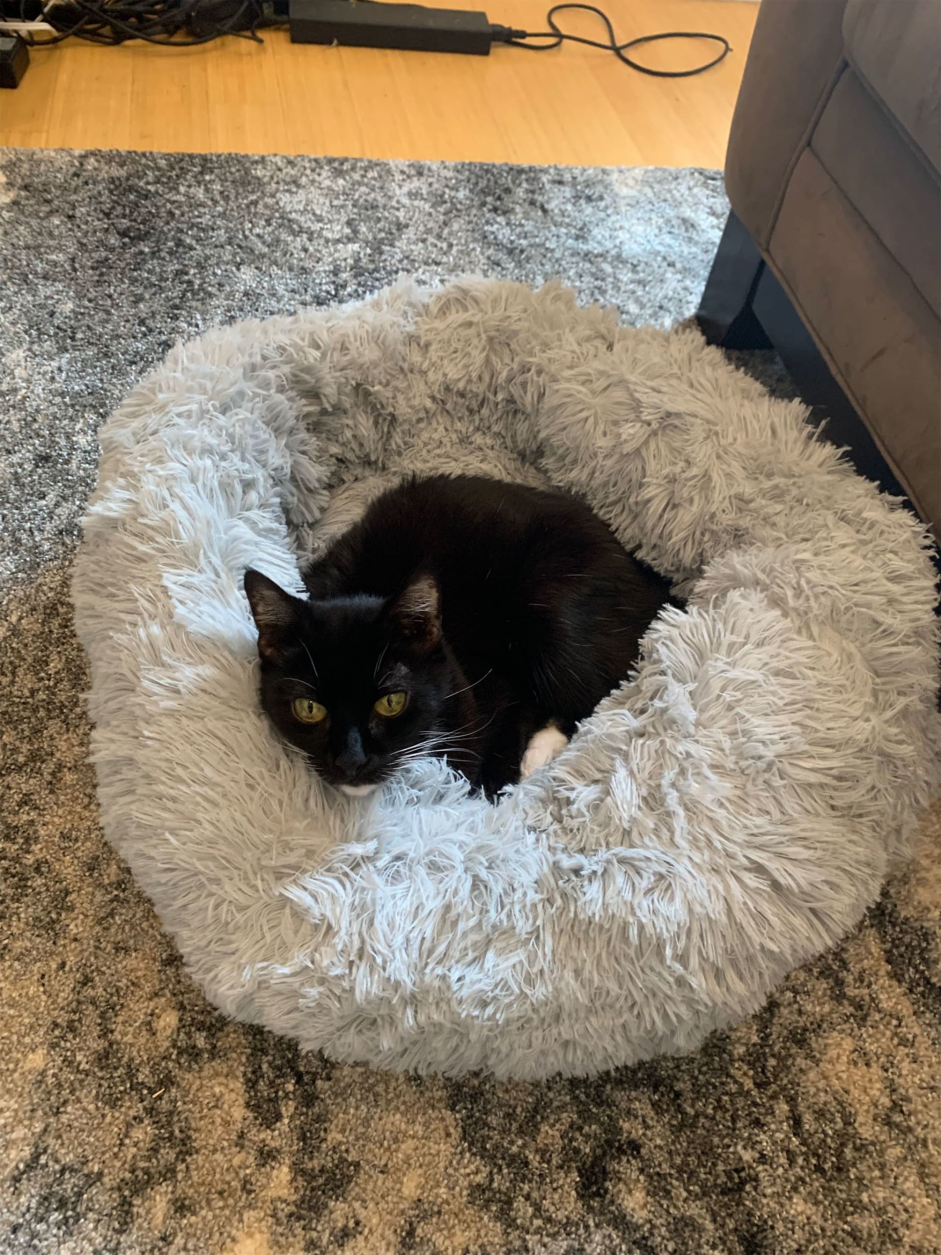 Nala