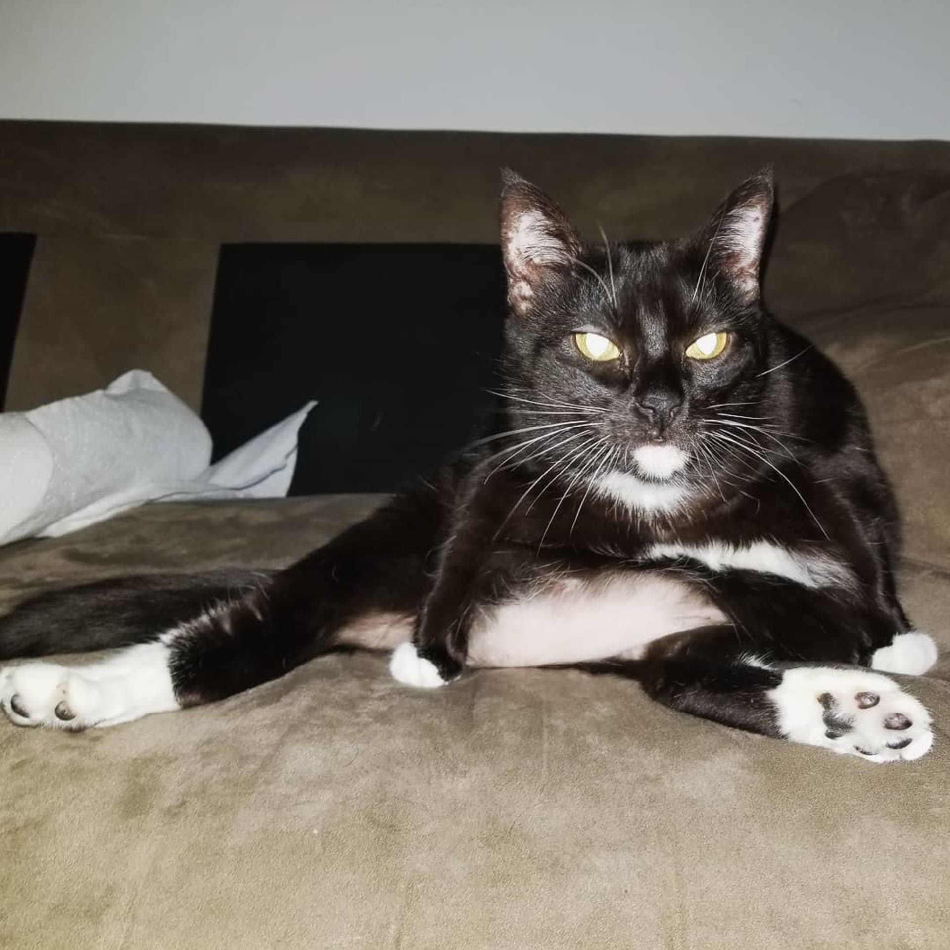Nala