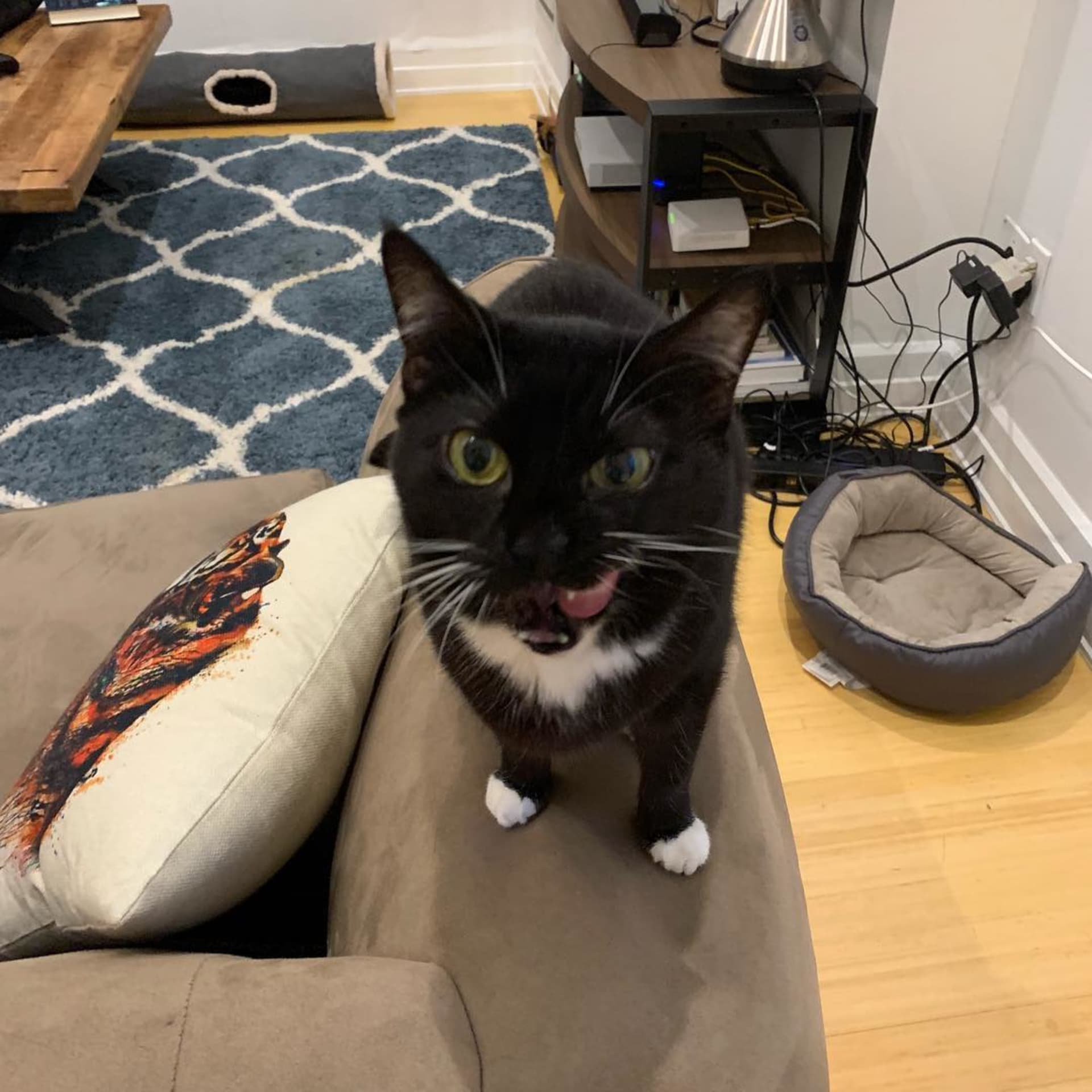 Nala