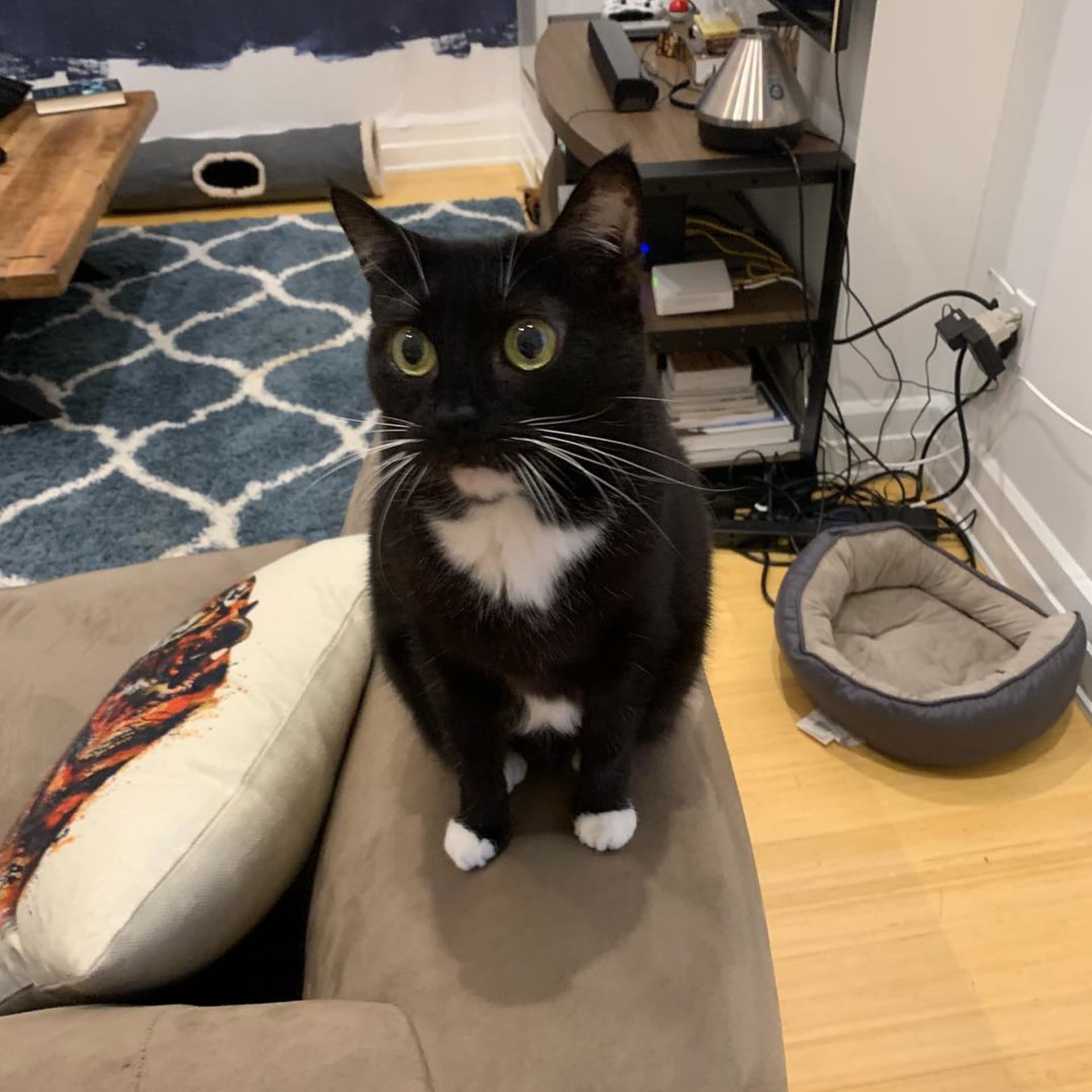 Nala
