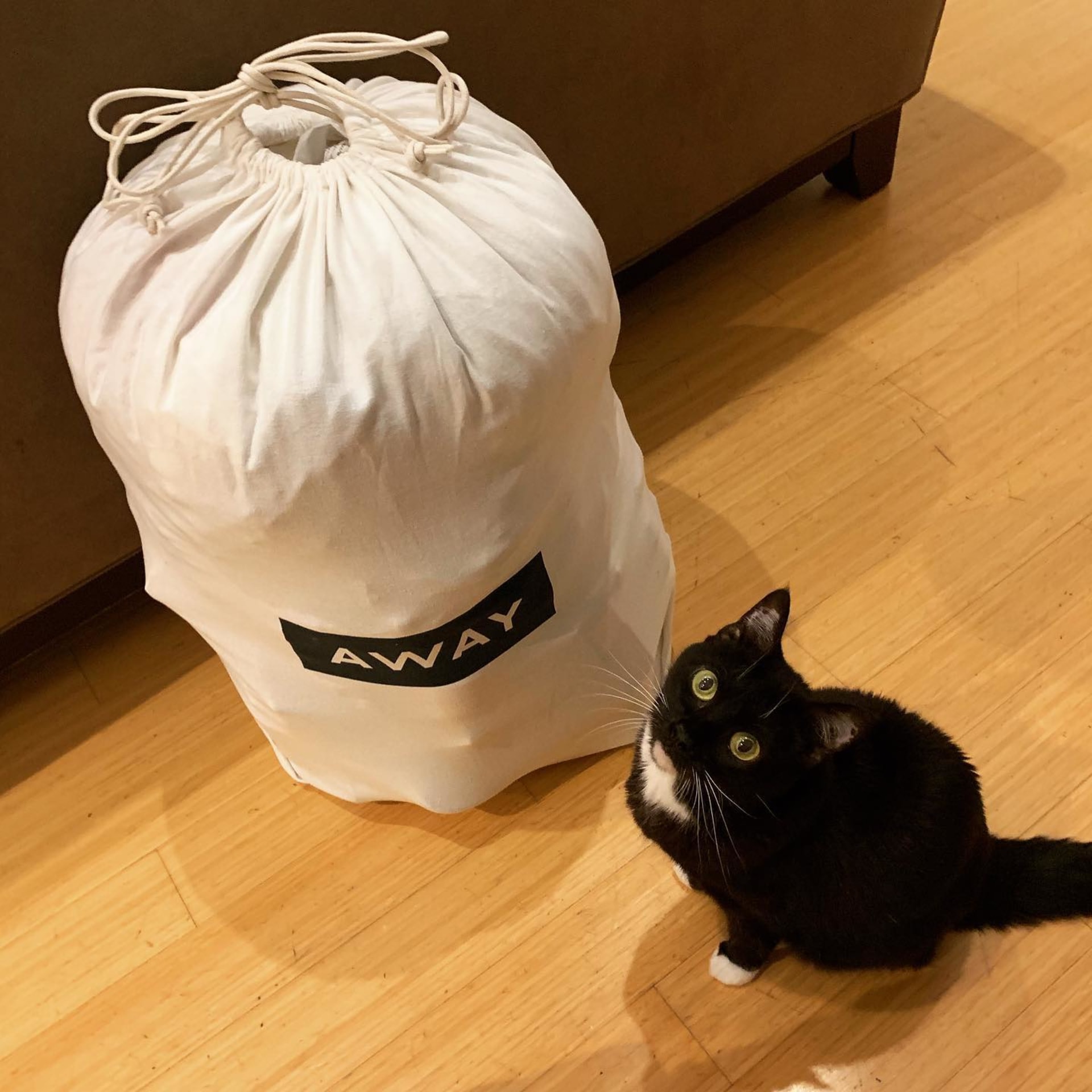Nala