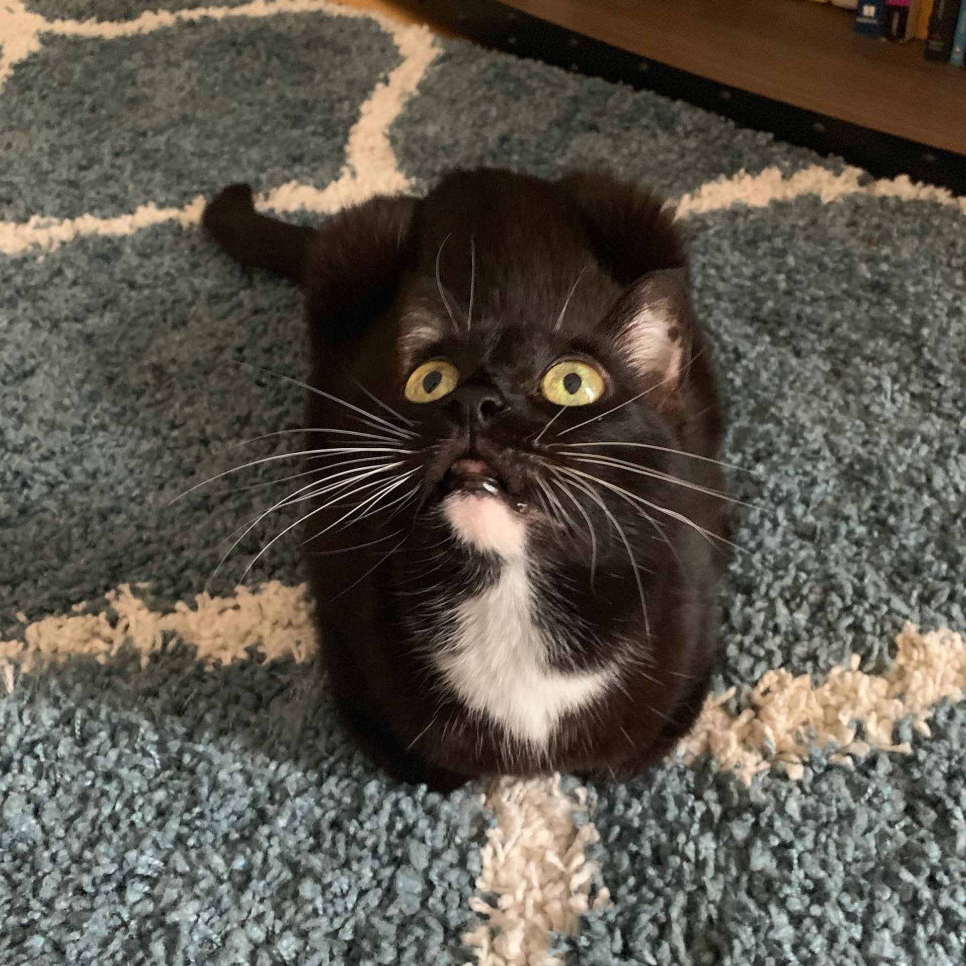 Nala