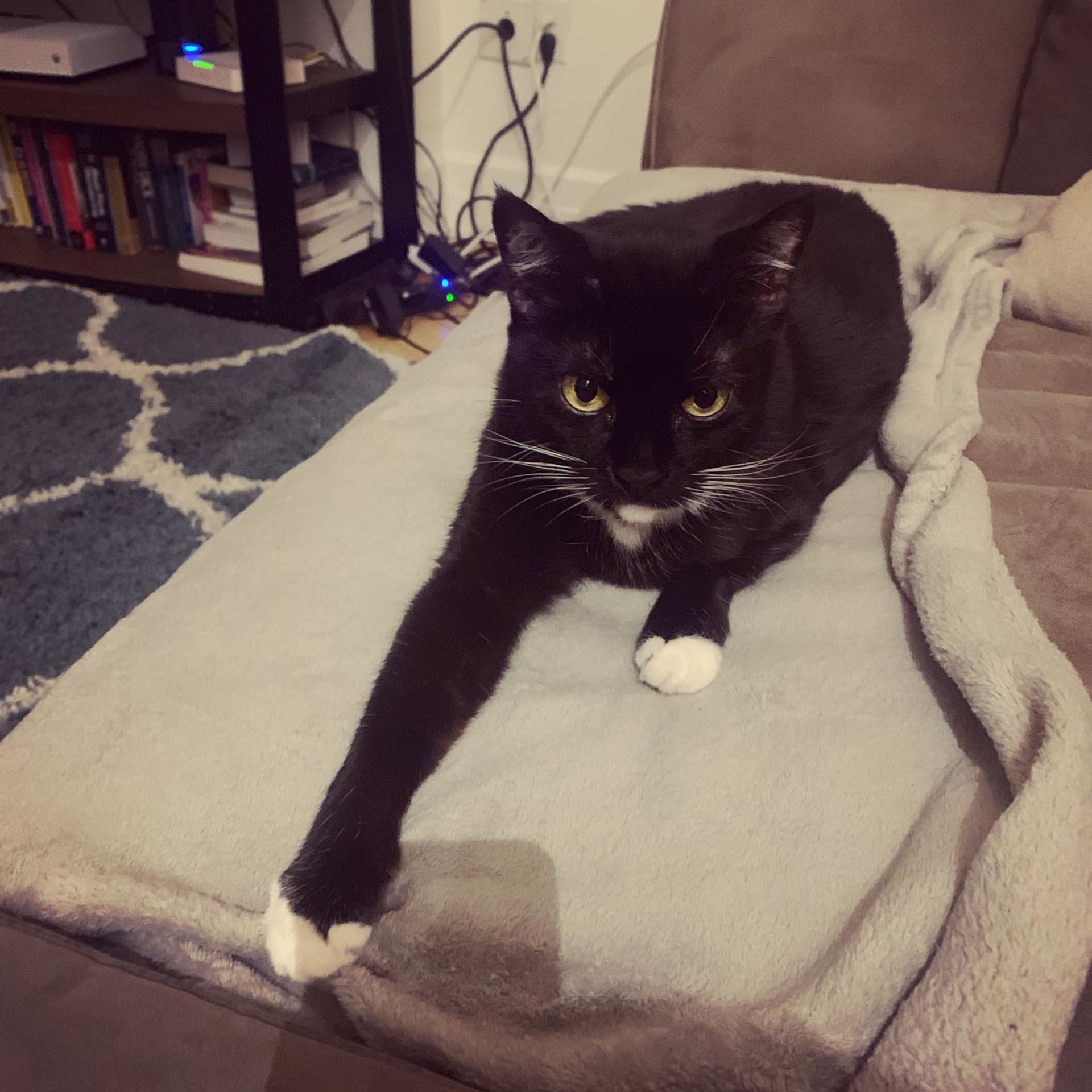 Nala