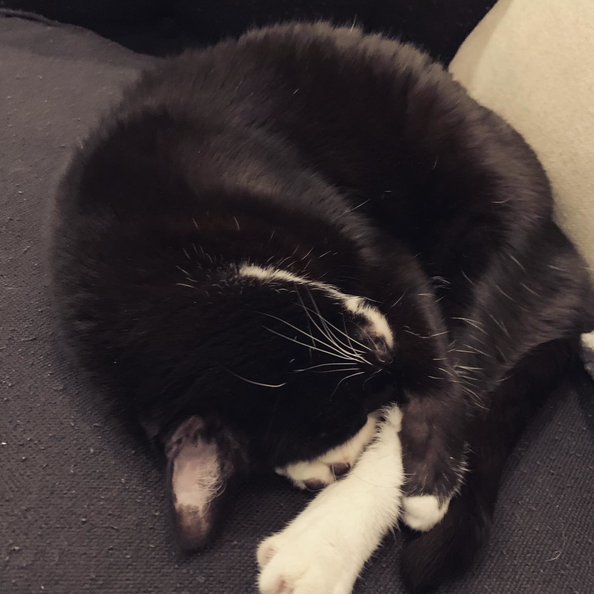 Nala