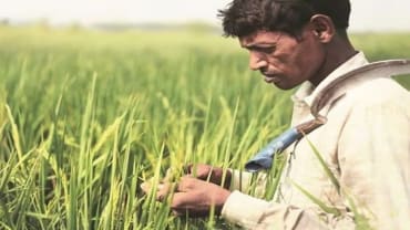 PM Kisan Yojana: 24 फरवरी को किसानों के खाते में आएंगे 2000 रुपये, जानें कौन होंगे लाभार्थी 