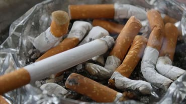 सिगरेट से होने वाले 5 बड़े नुकसान: सिर्फ फेफड़े ही नहीं, ये अंग भी हैं खतरे में! 