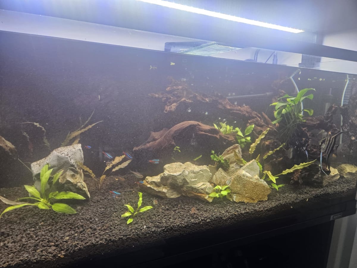 Emergency Tank Rescue & Recovery - Main Image