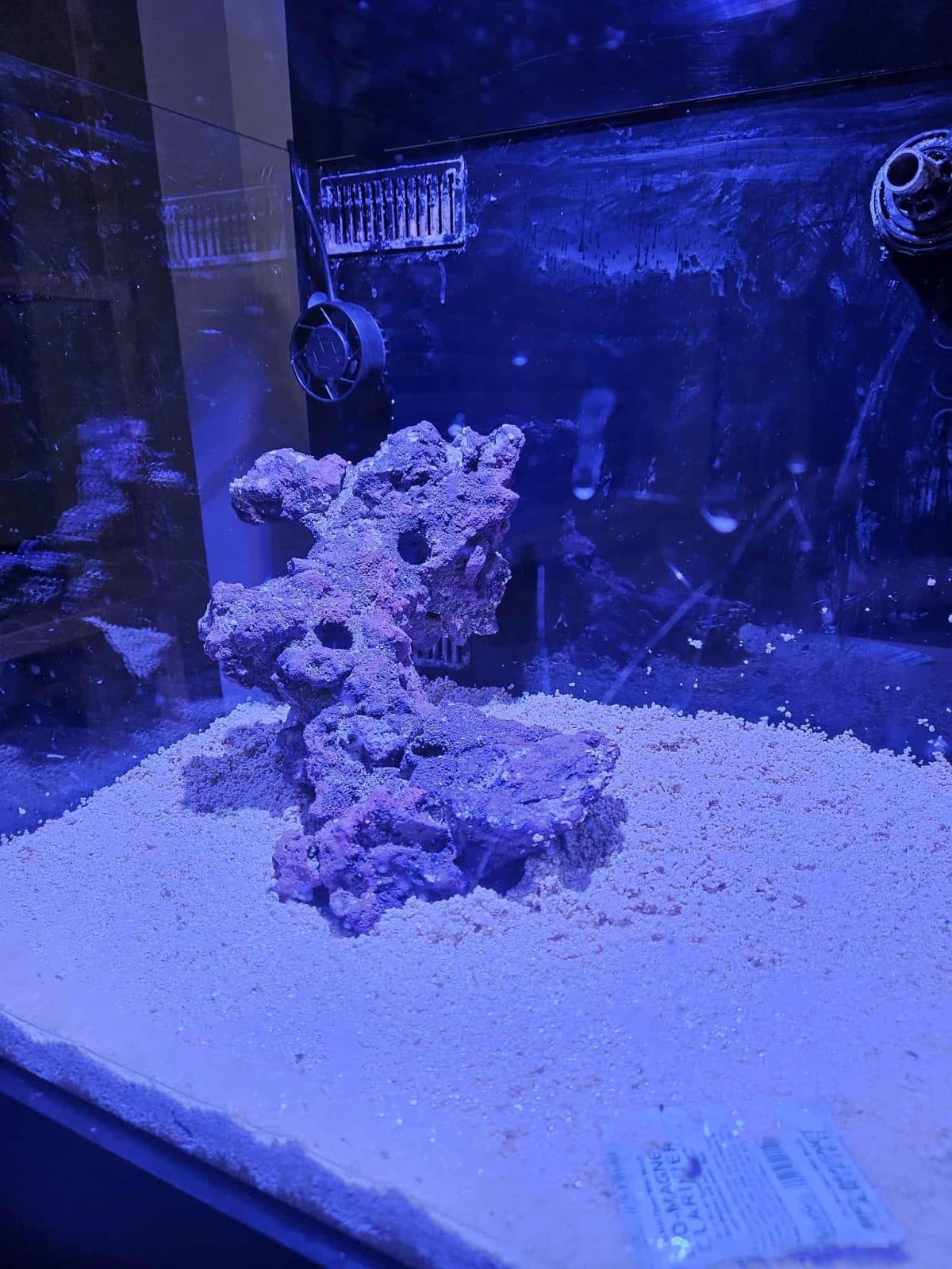Saltwater Reef Tank Setup & Maintenance - Media 3