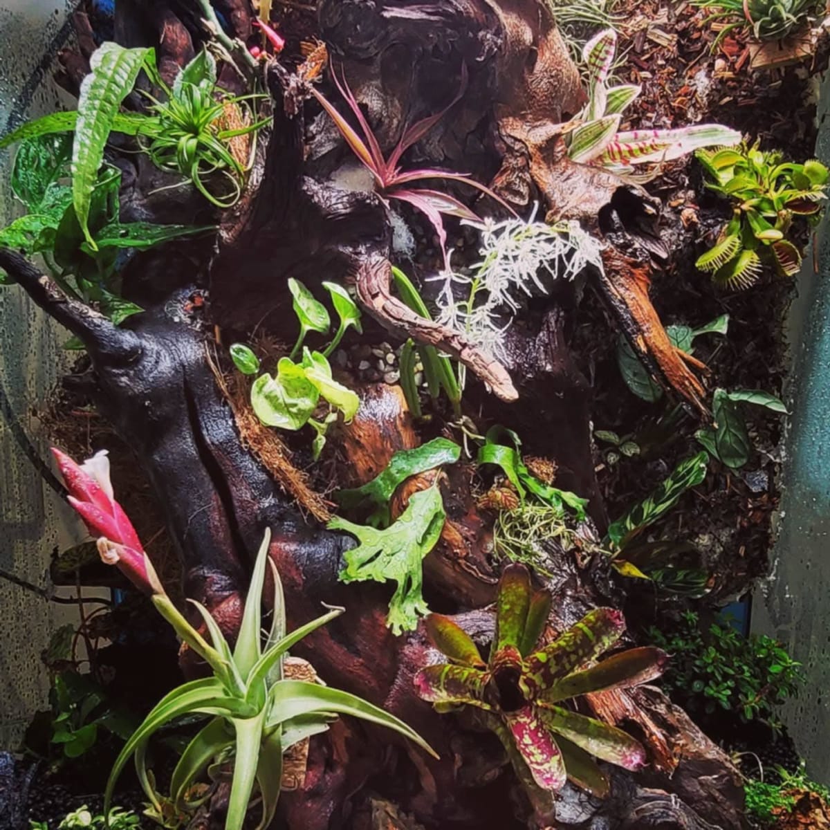 Home Aquarium Transformation - Media 8