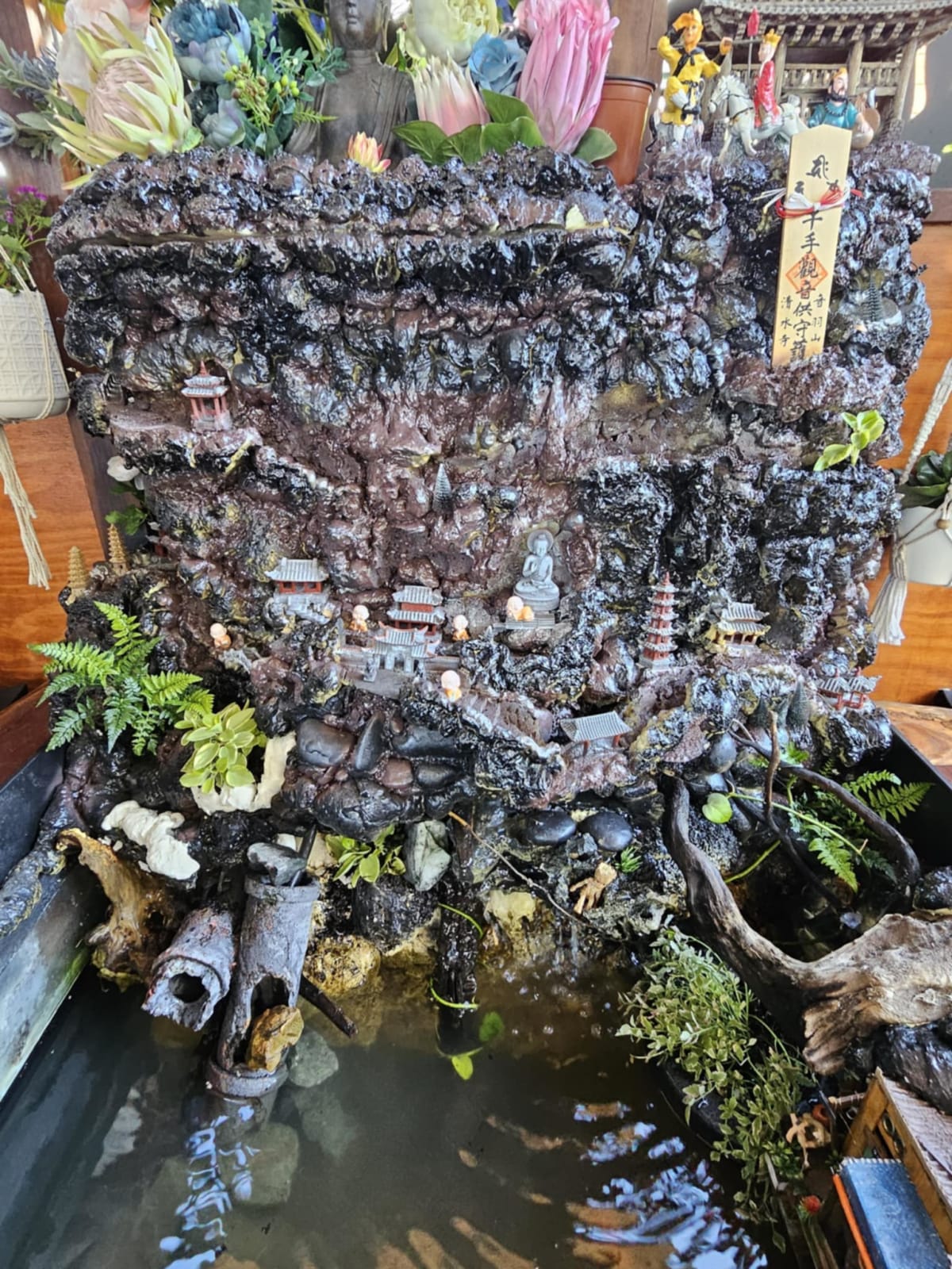 Planted Freshwater Ecosystem - Media 5