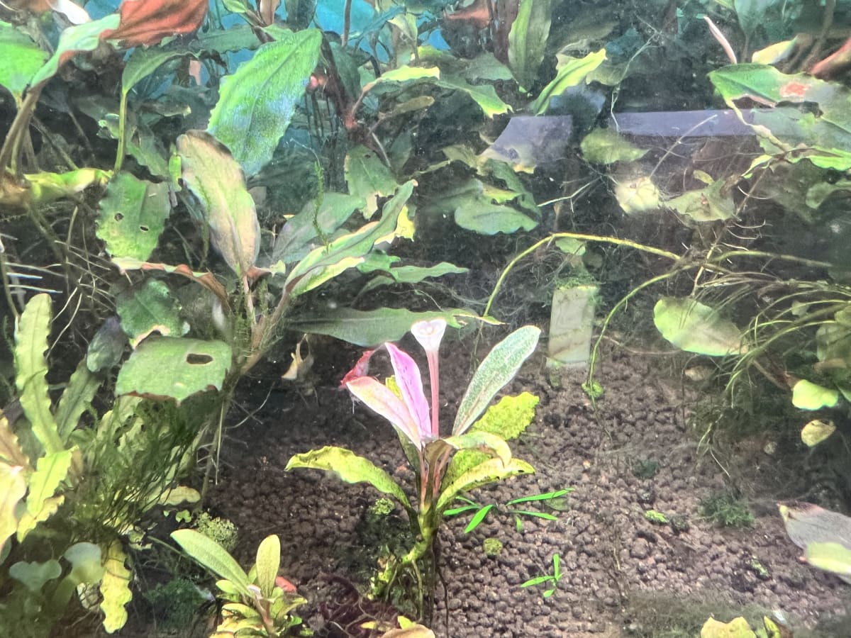 Emergency Tank Rescue & Recovery - Media 7