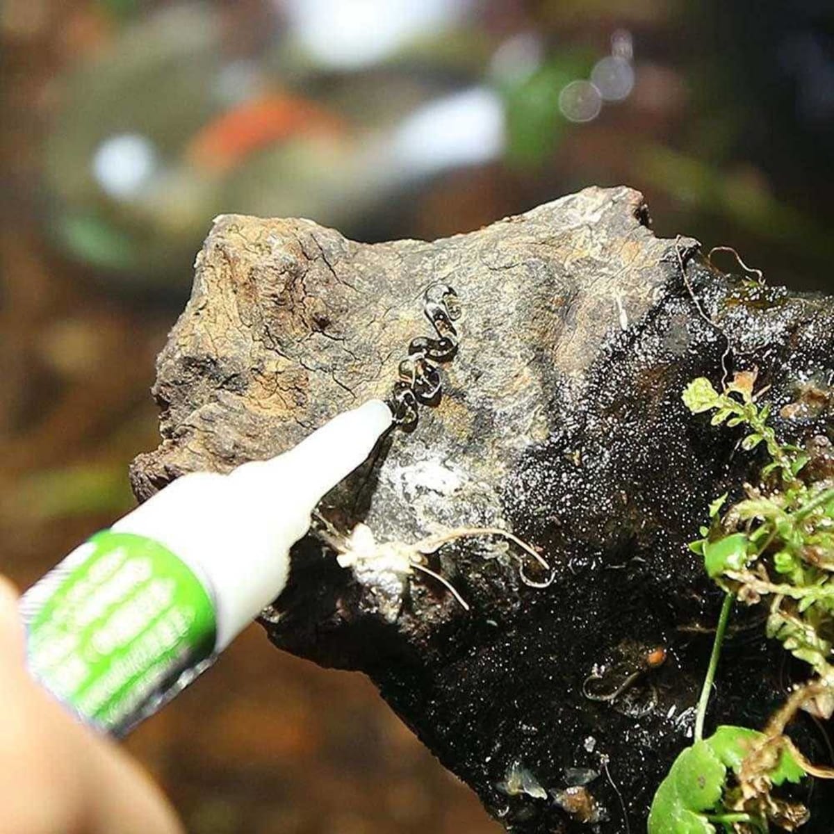 Aquascaping Glue Aquatic Plant - Thumbnail 2