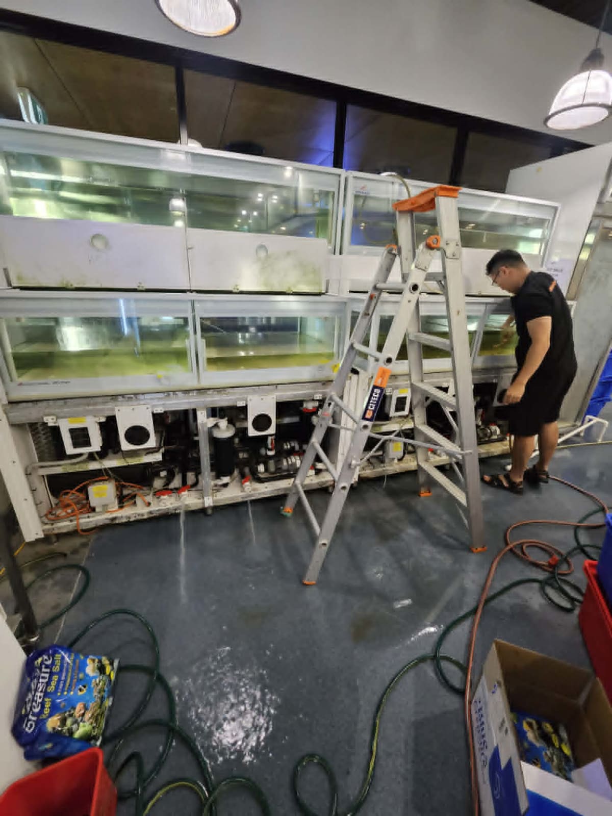 Commercial Salt Water Tank Maintenance - Media 3