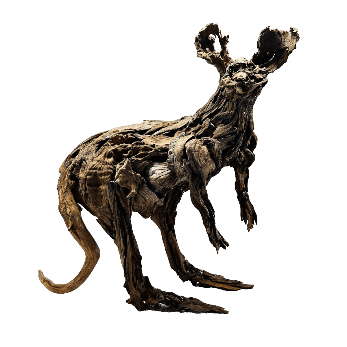 Kangaroo standing on the floating island