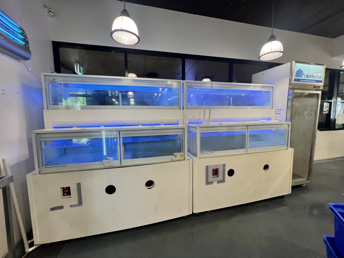 Commercial Salt Water Tank Maintenance - Media 2