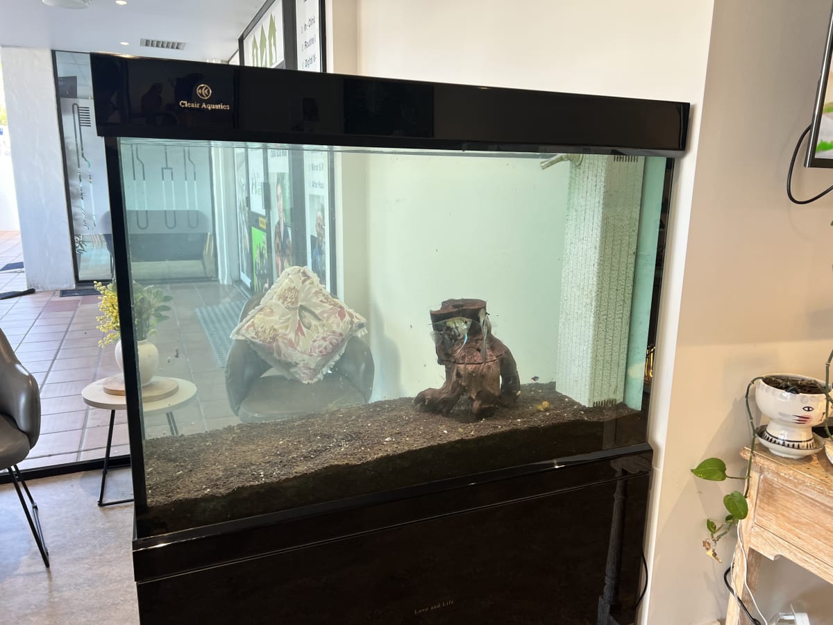 VET Centre Fresh Water Tank Maintenance - Main Image