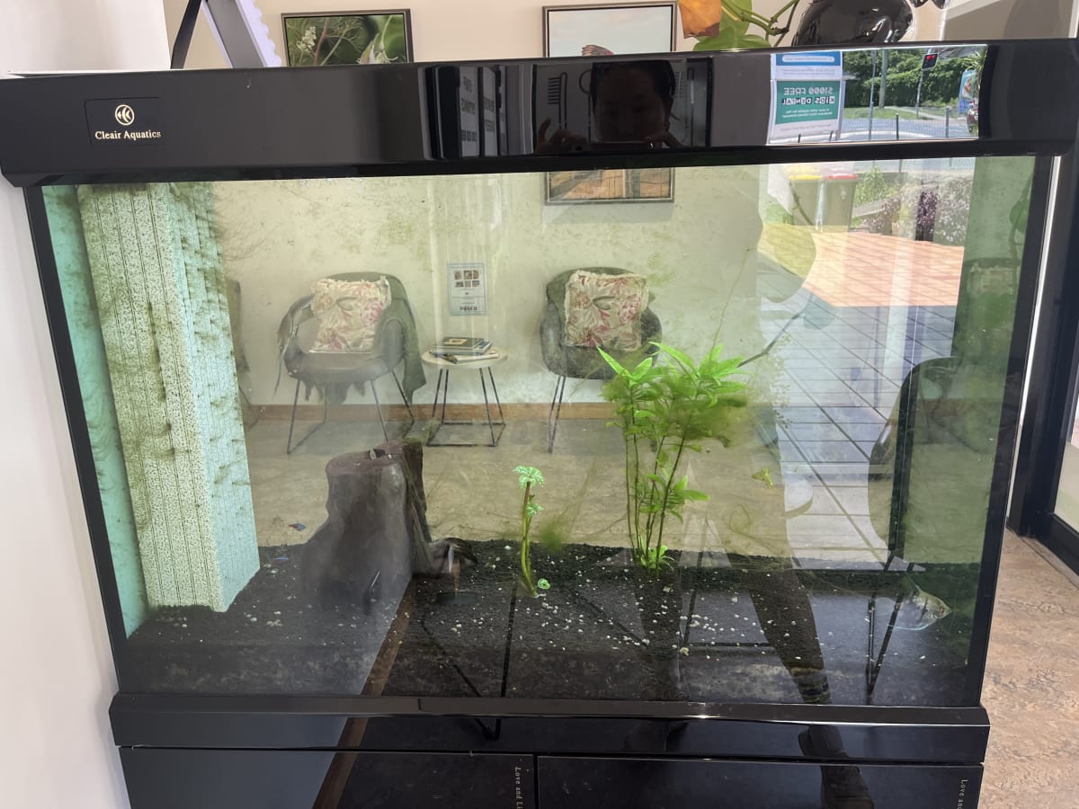 VET Centre Fresh Water Tank Maintenance - Media 2