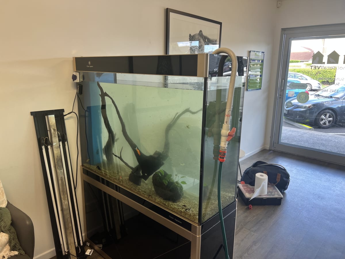VET Centre Fresh Water Tank Maintenance - Media 3