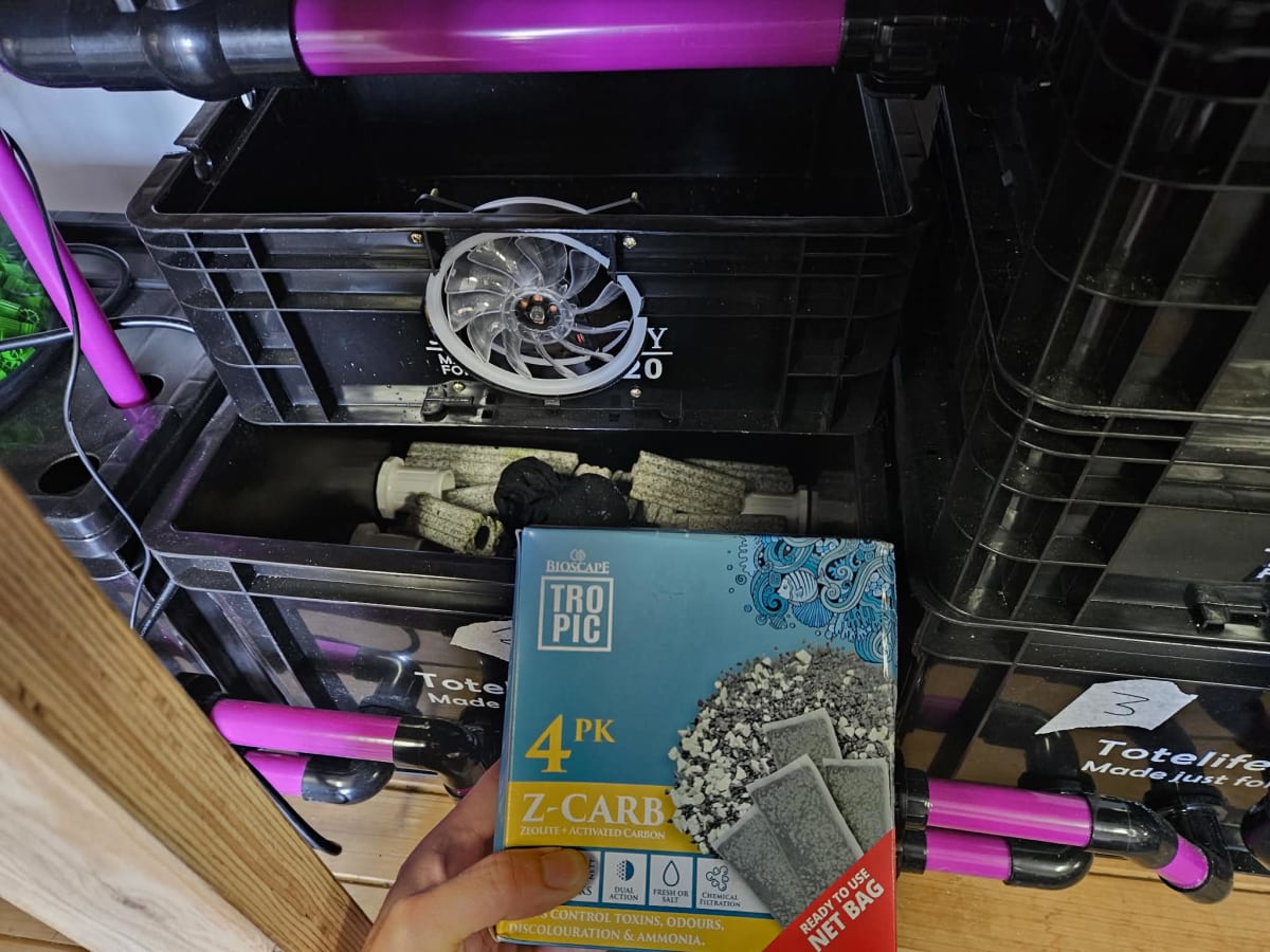 Freshwater Tank Setup - Media 3
